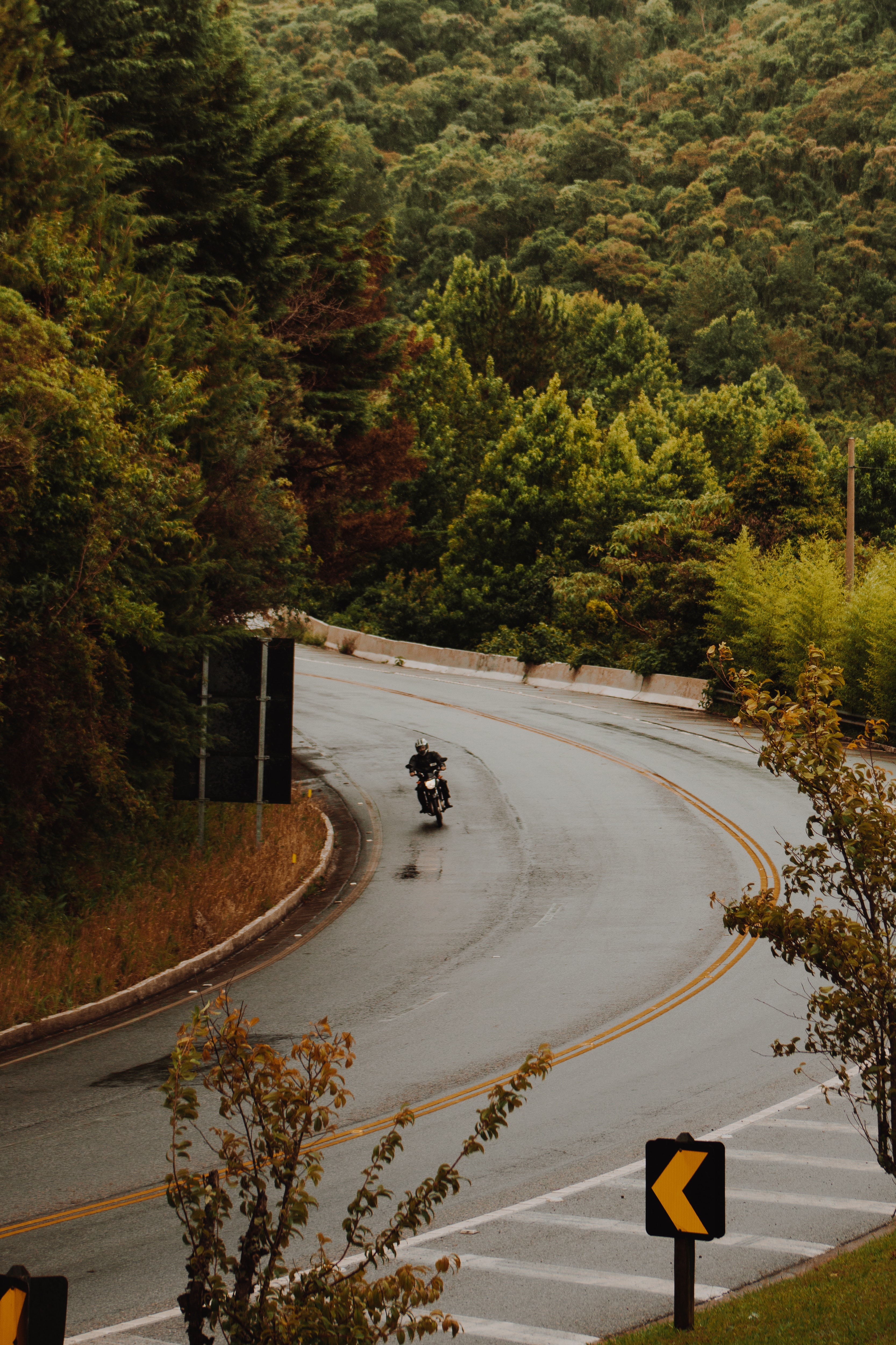 Man riding motorcycle on road photo