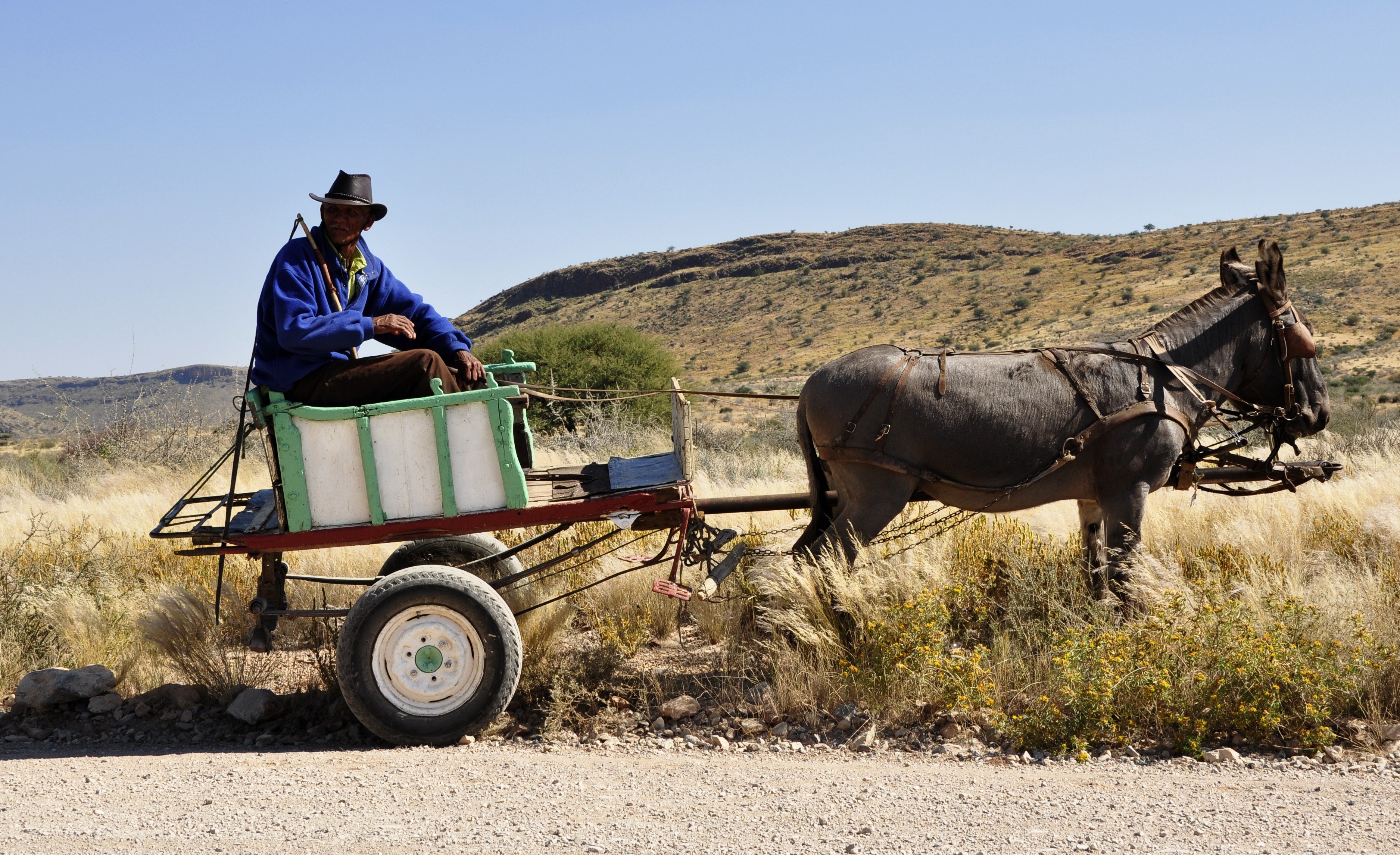 Man Riding on Carriage Pulled by Donkey Under Blue Sky during Daytime, Cart, Mammal, Savanna, Rocks, HQ Photo