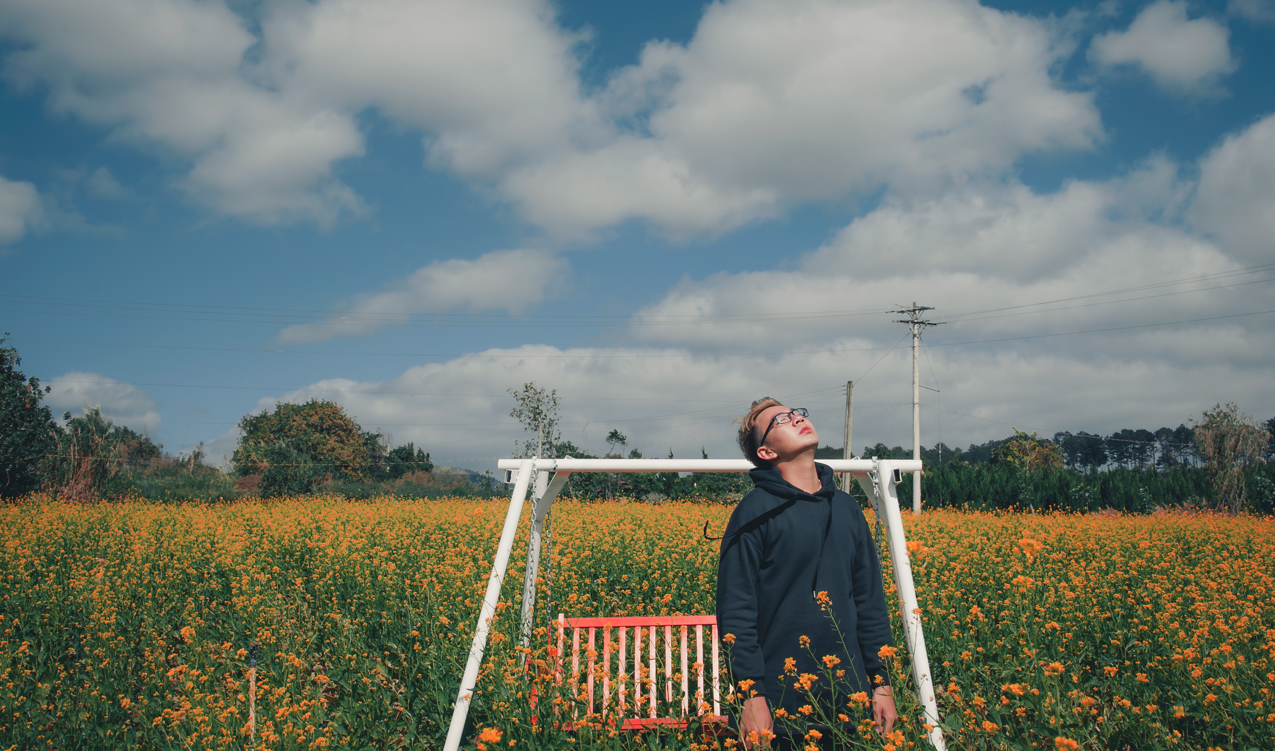 Man standing on bed of yellow flowers near bench swing photo