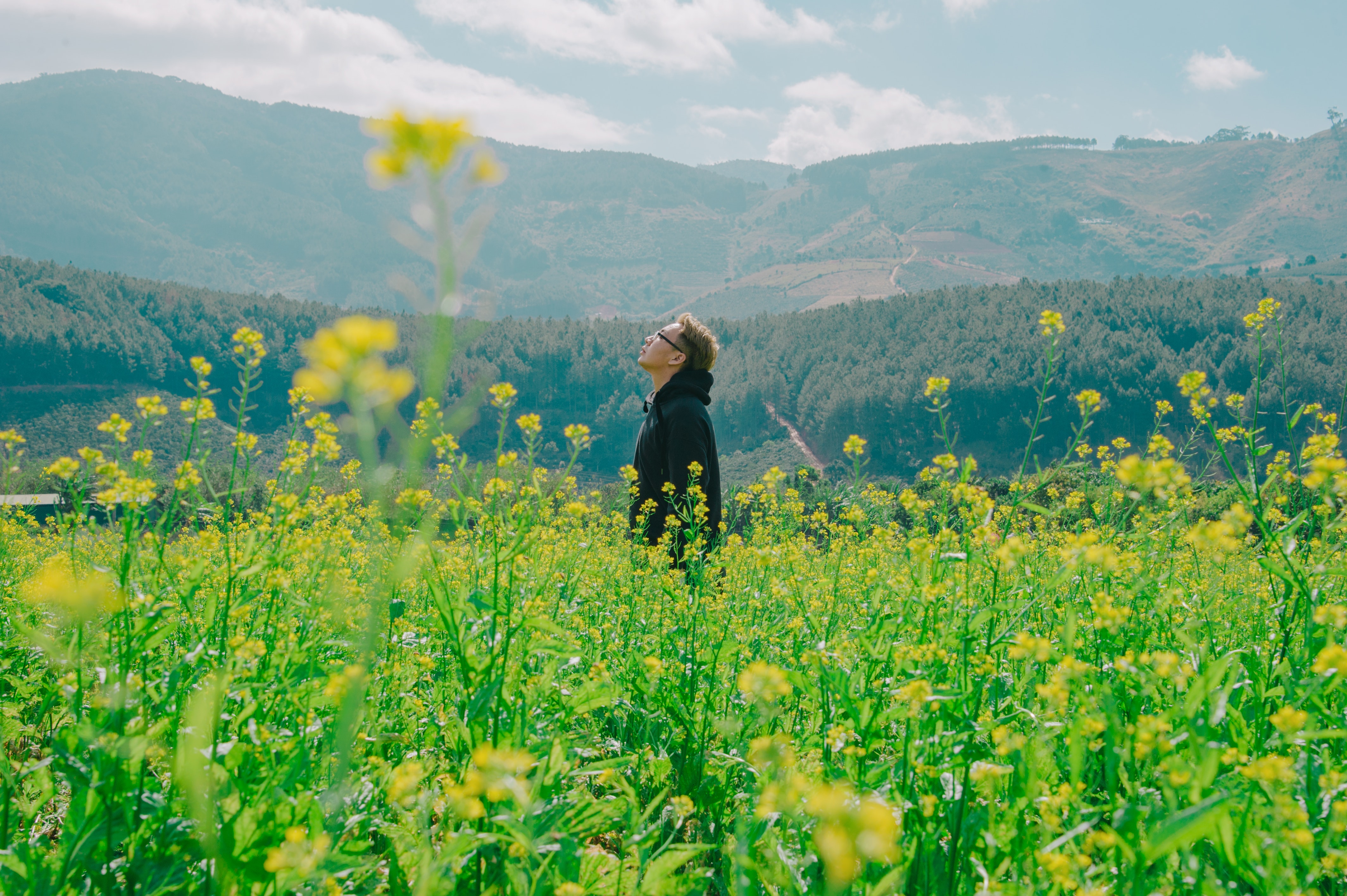 Man standing on yellow bed of flowers photo