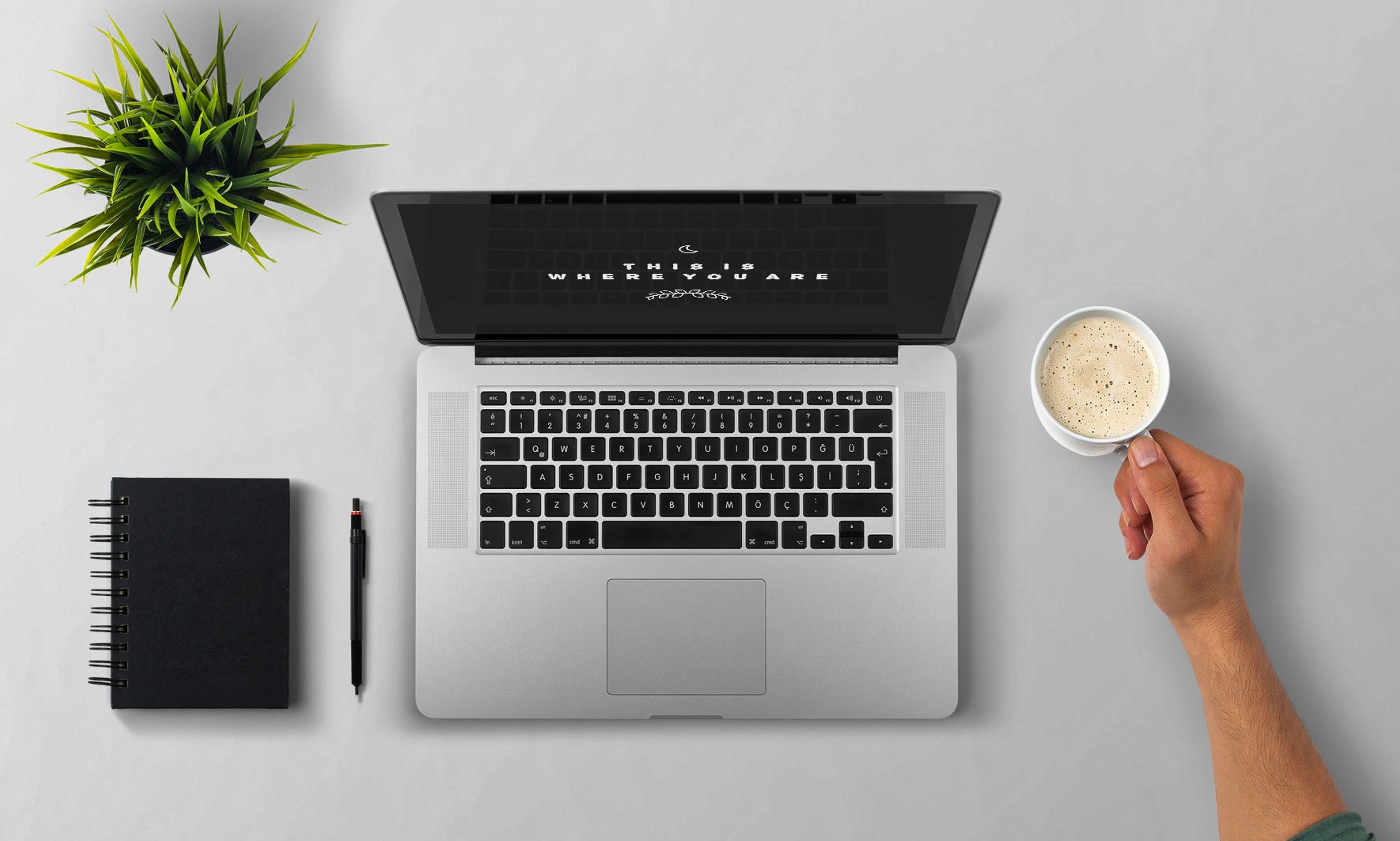 Man Using Laptop on Table Against White Background, Arm, Plant, Monitor, Mug, HQ Photo