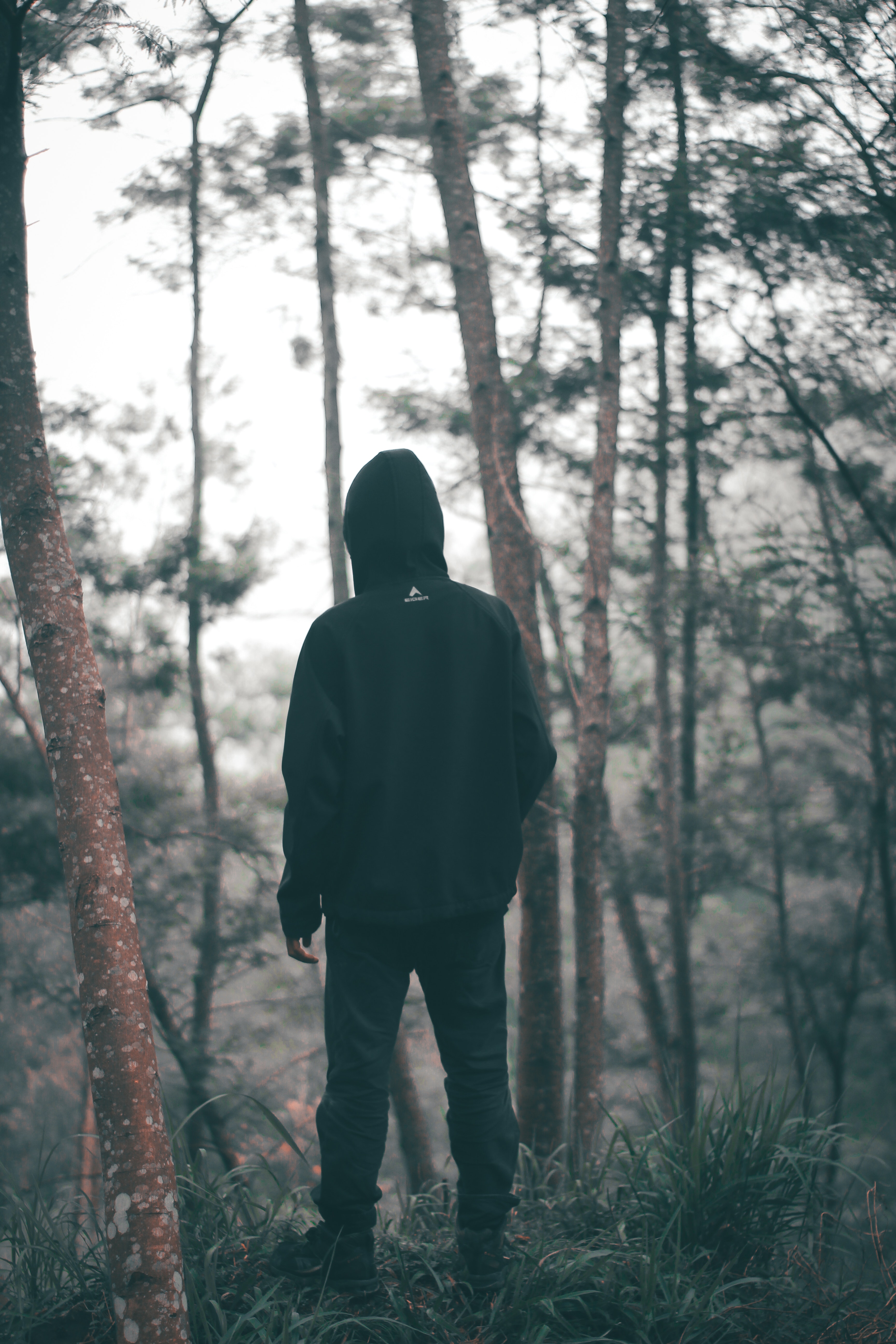 Man wearing black hoodie with black pants standing in the middle of forest photo