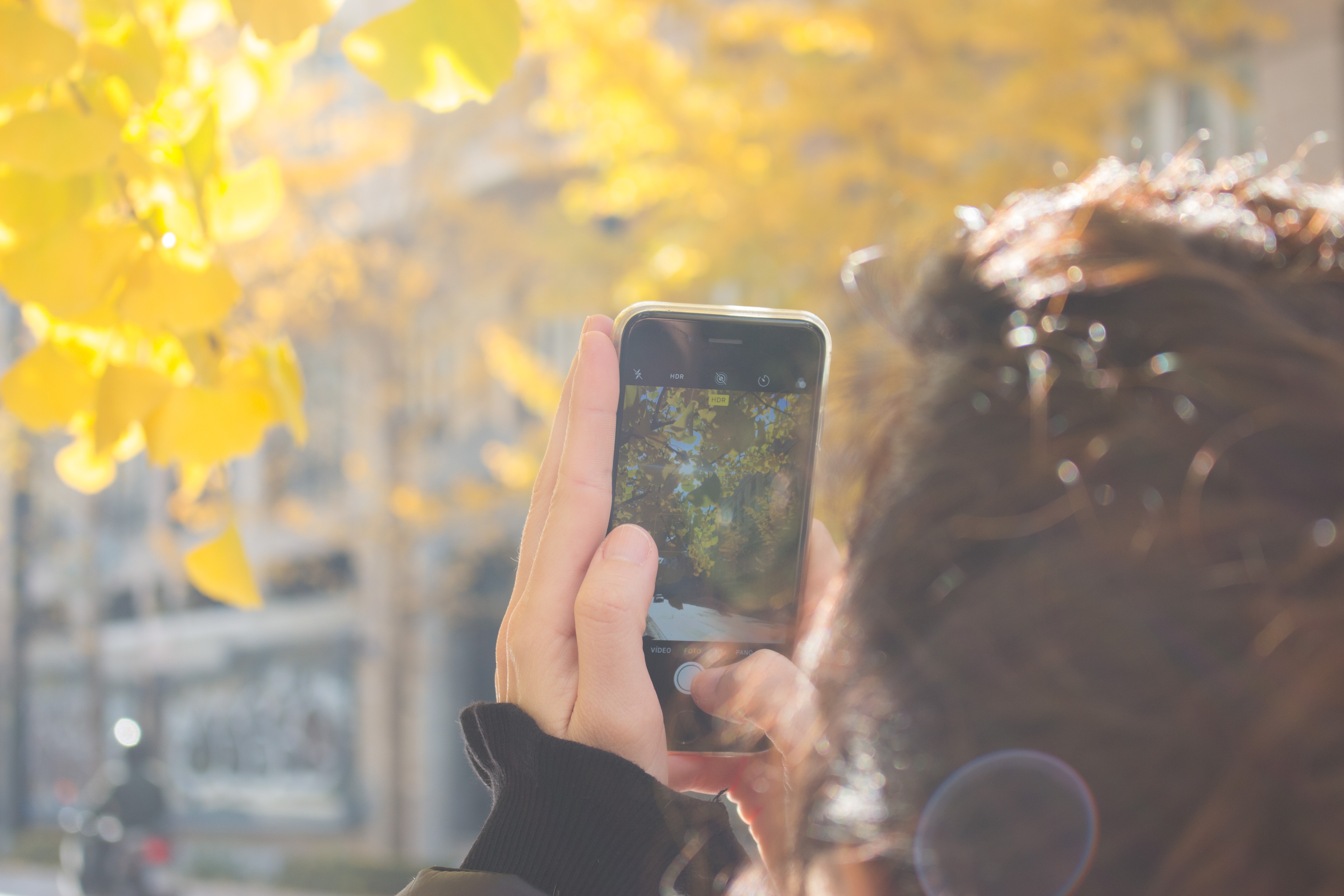 Man wearing black jacket using iphone taking picture of green leaf tree photo