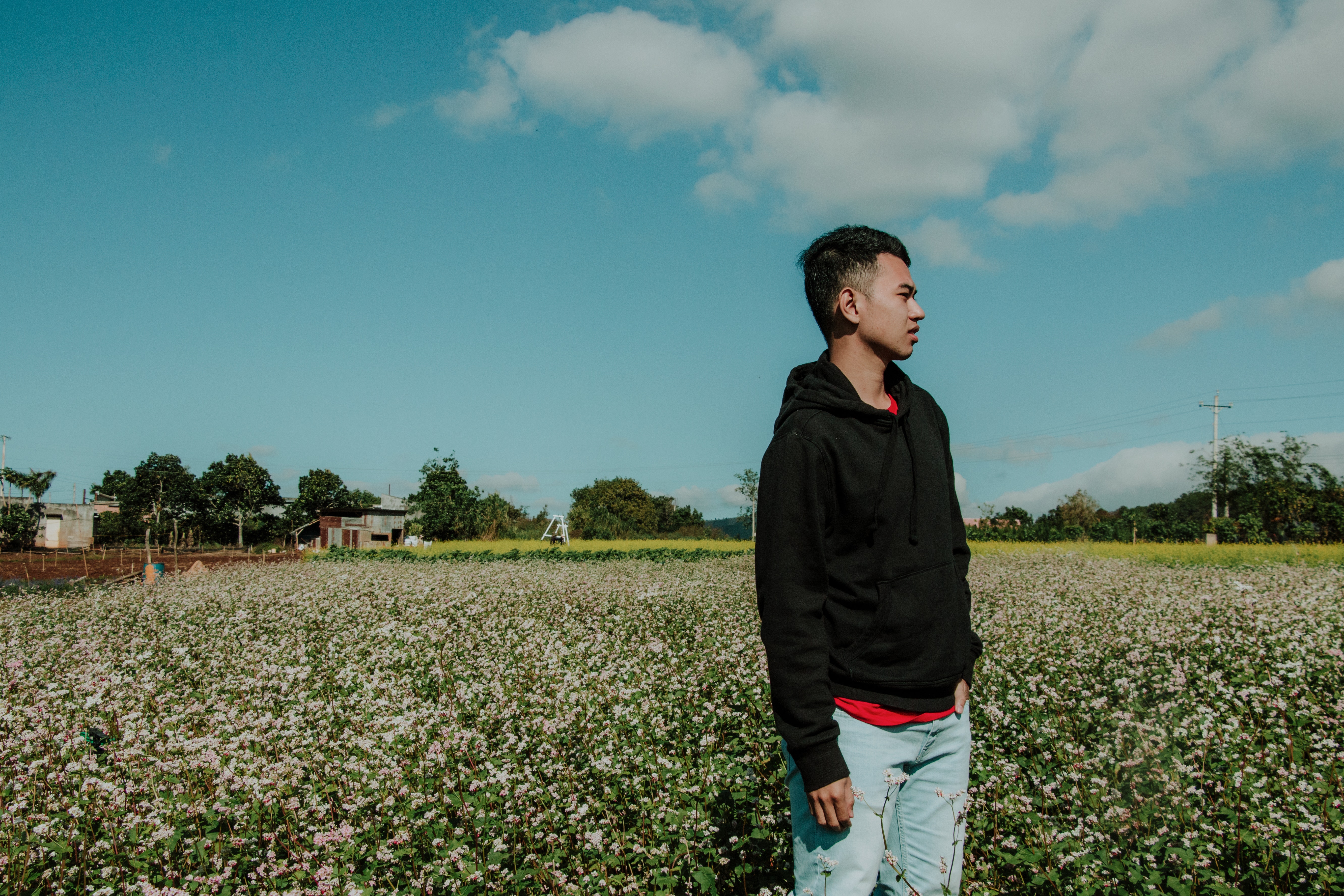 Man Wearing Pullover Hoodie Standing on Flower Field, Agriculture, Houses, Trees, Sky, HQ Photo