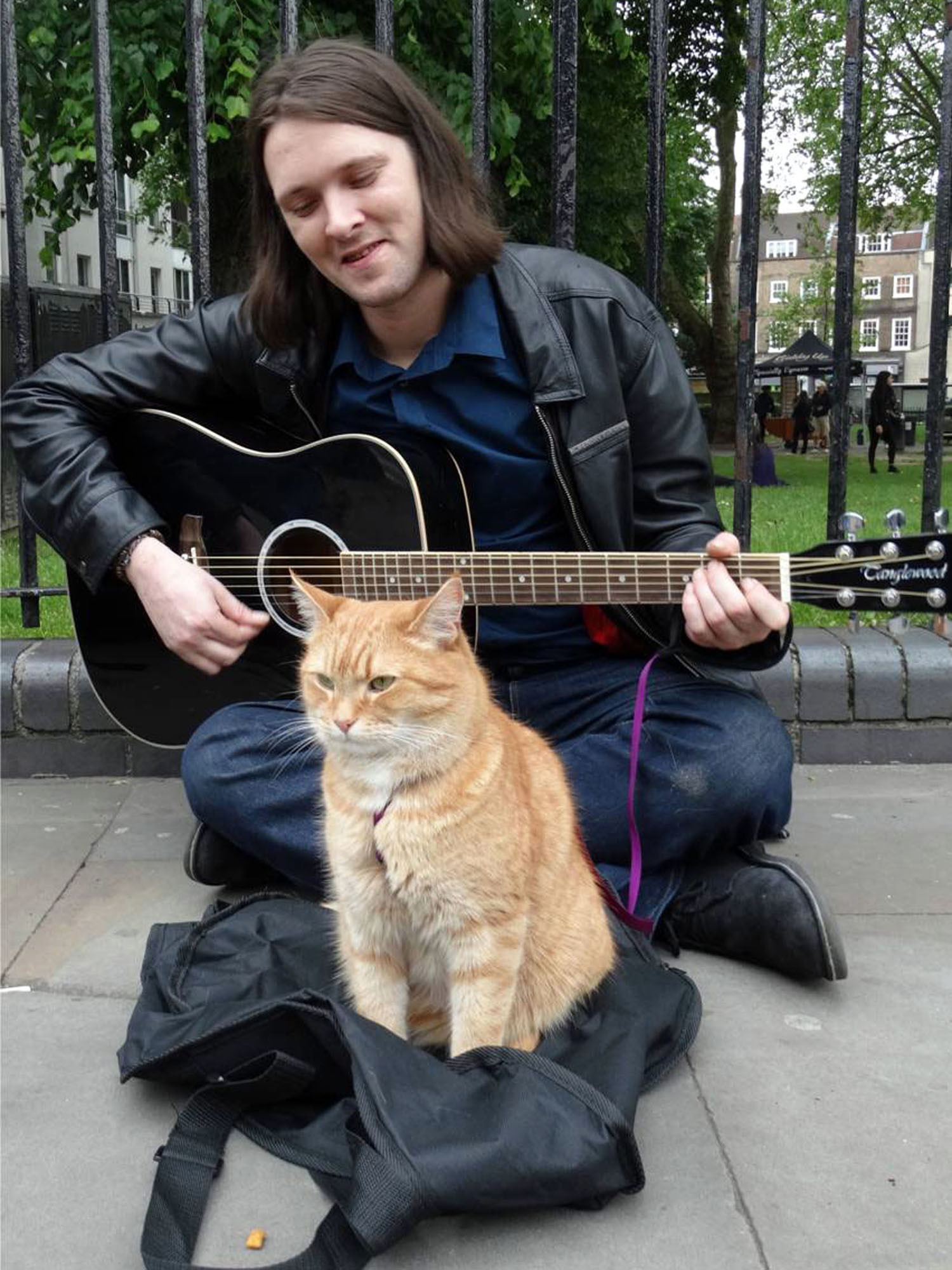 How a feral cat helped a homeless man turn his life around