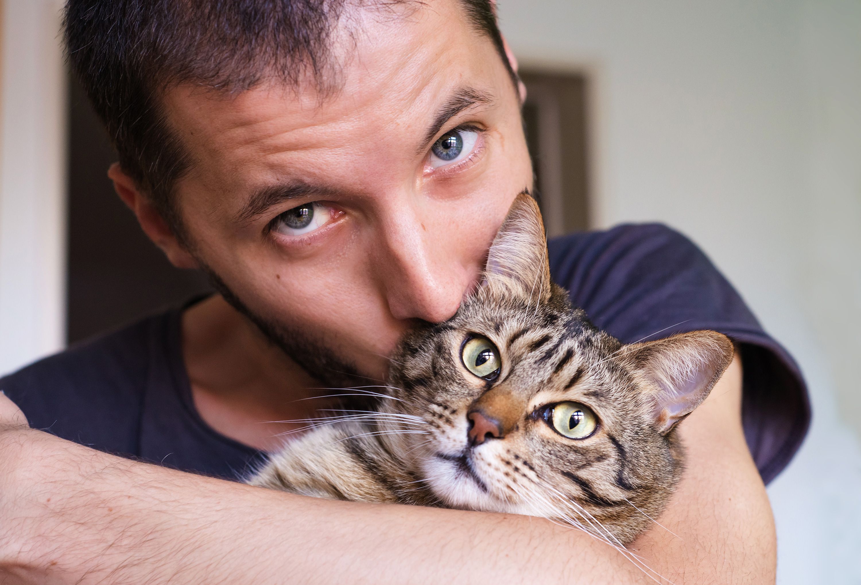 Over two thirds of cat owners are now men, research reveals