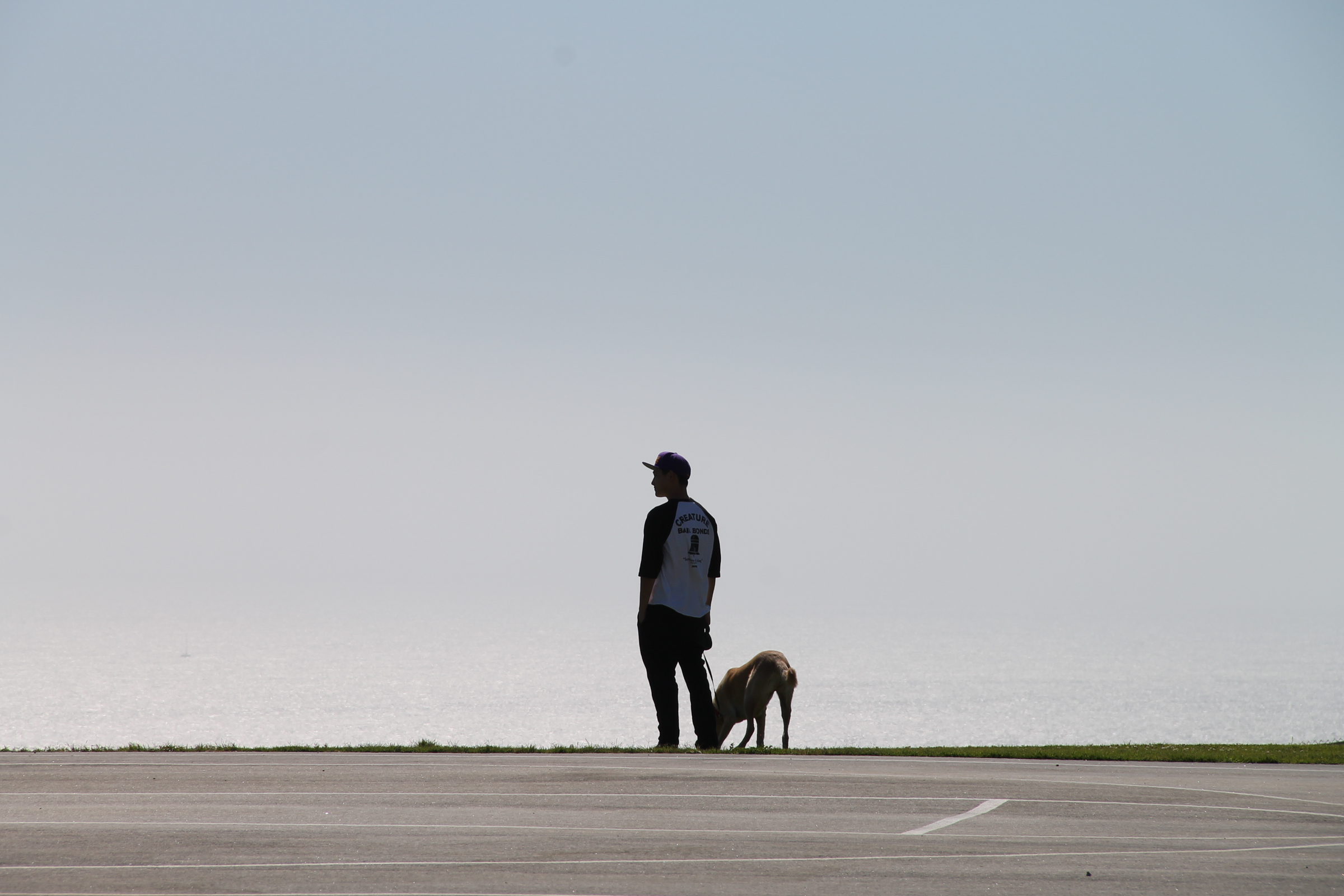 Free Stock Photo of Silhouette of Man with Dog
