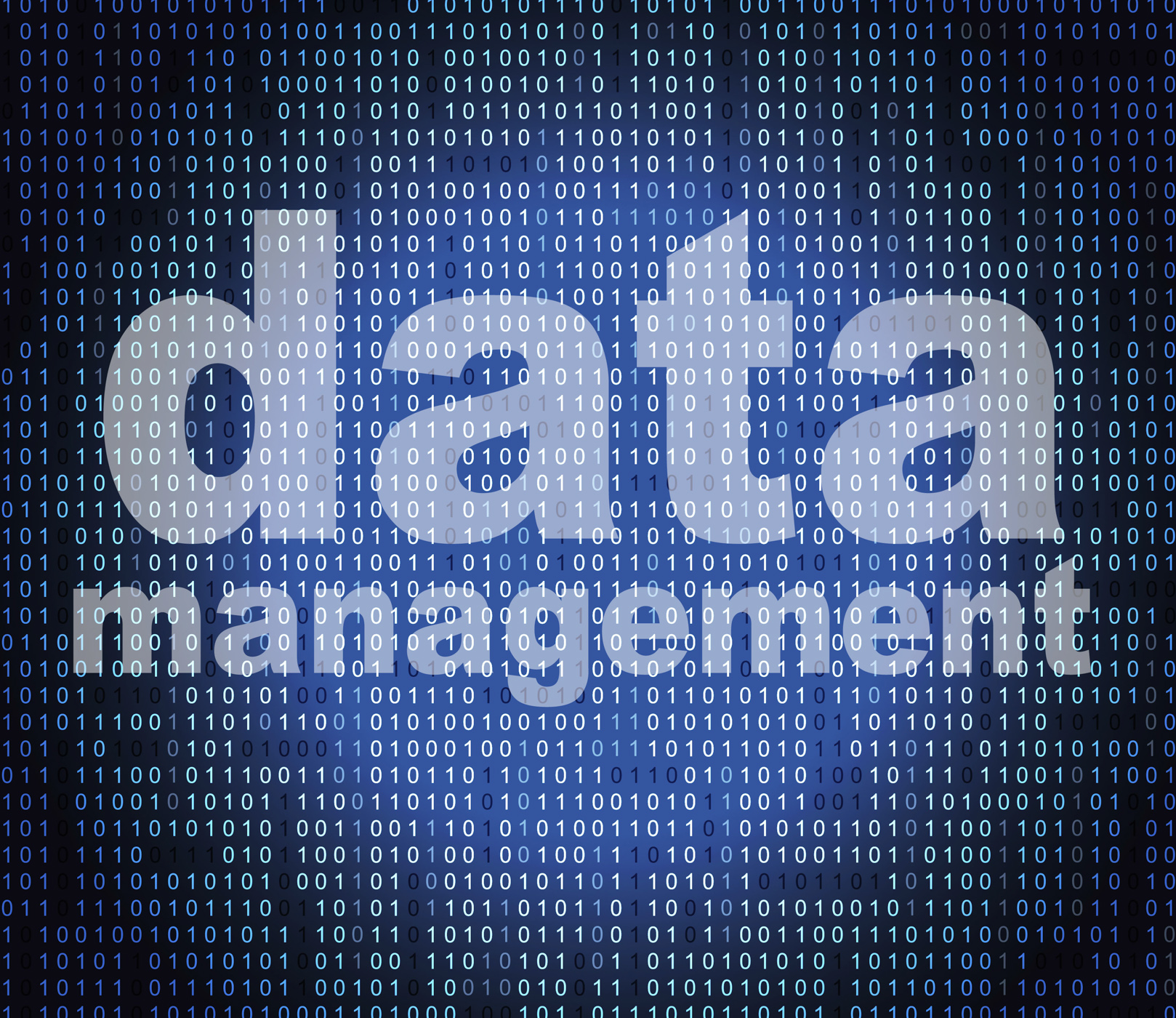 Management data means directorate organization and knowledge photo