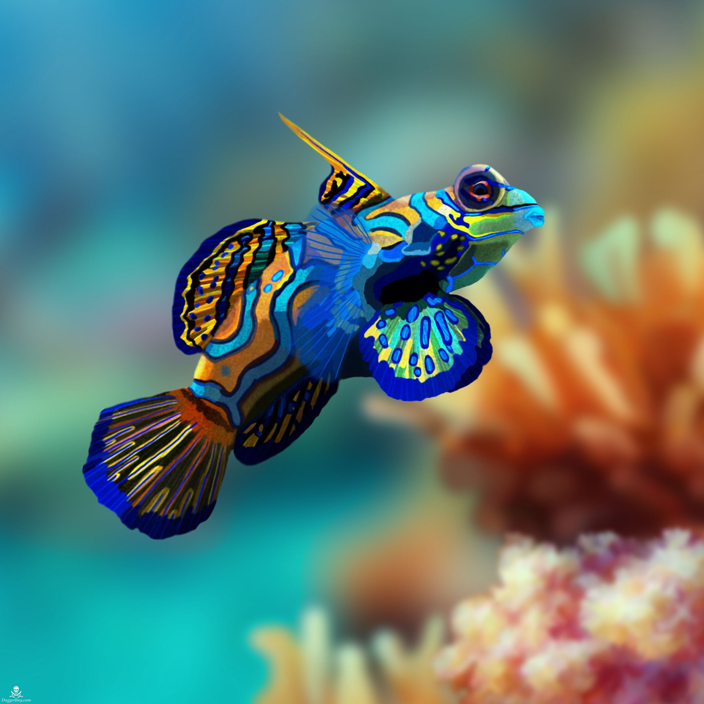 Great Barrier Reef Mandarinfish by pamelap | Fish | Pinterest | Fish ...