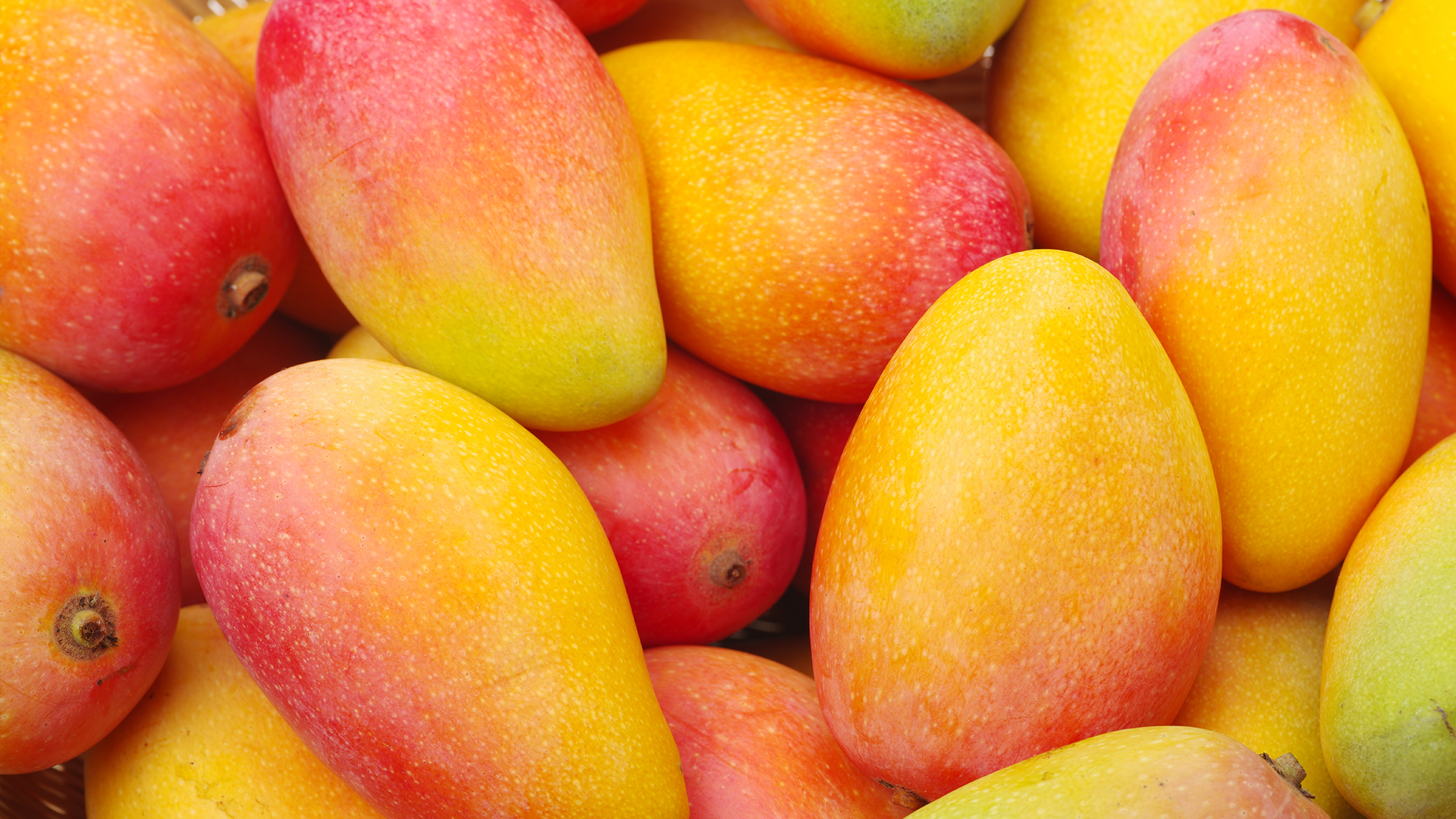 How to Pick a Ripe Mango - HealthiNation