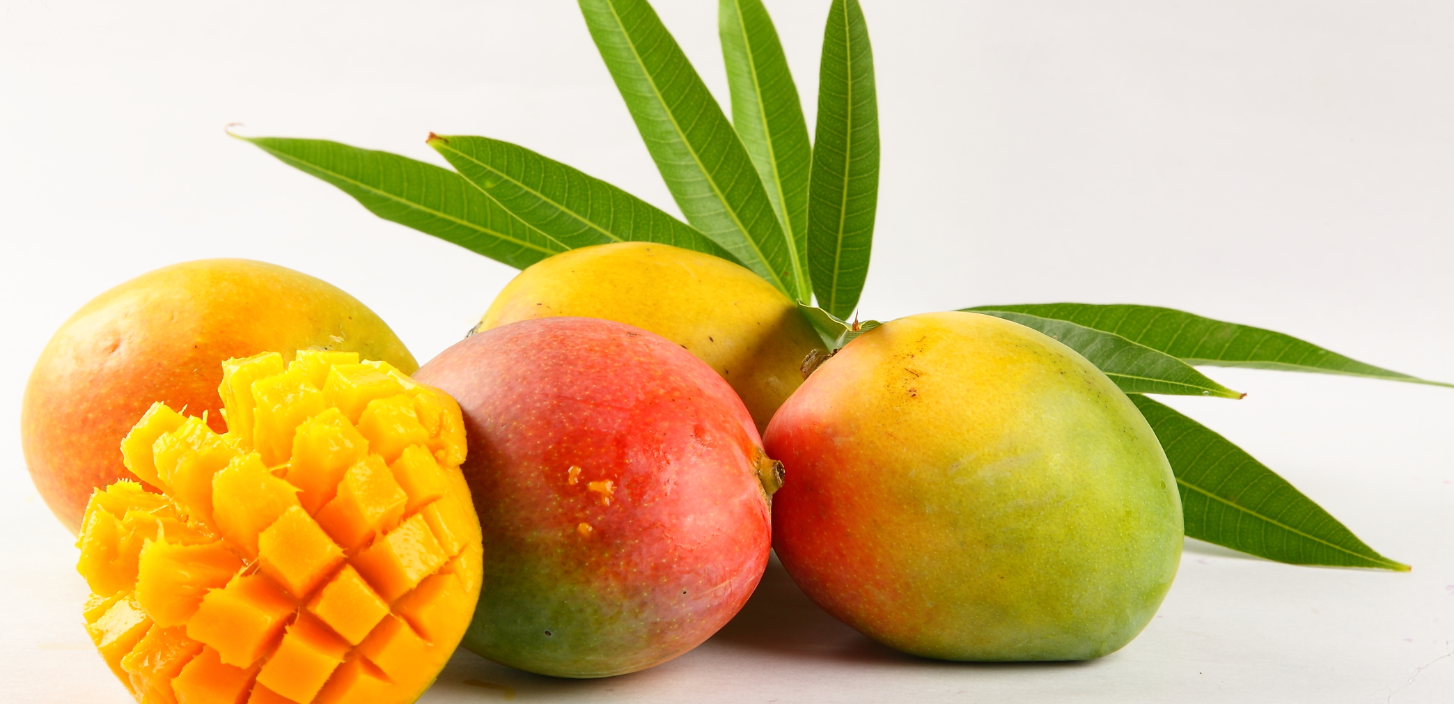Study Suggests Mangoes Can Reduce IBS Symptoms | Pain Resource