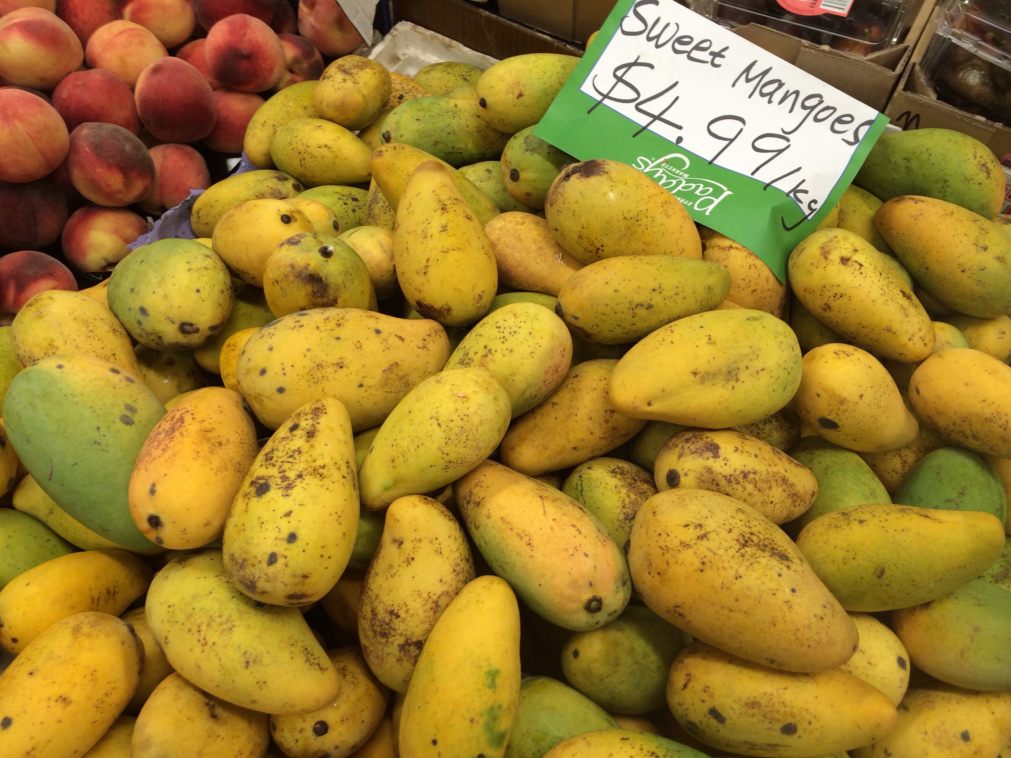 Forum: Thai Sweet Mango Tree For Sale