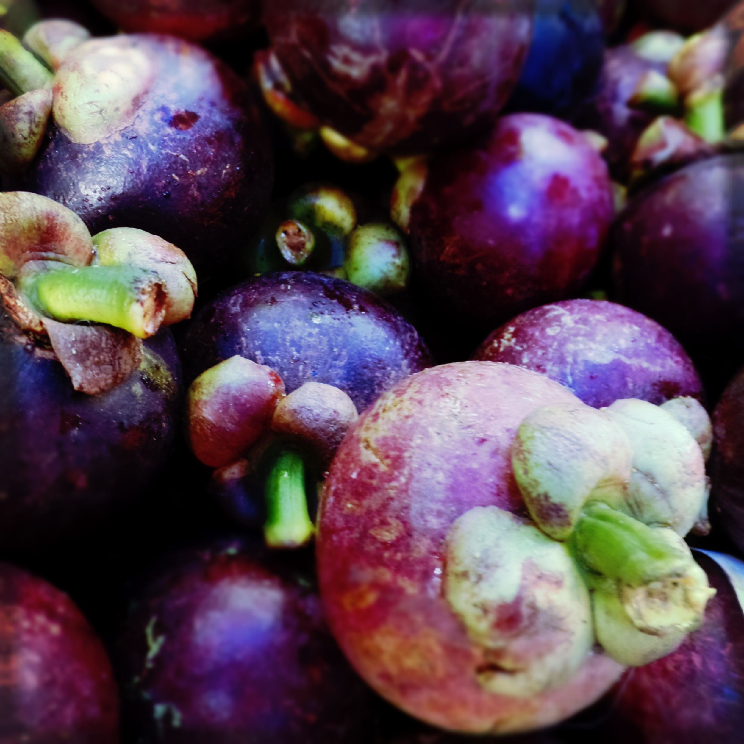 Summer means it's mangosteen season! As tropical a fruit as you can ...