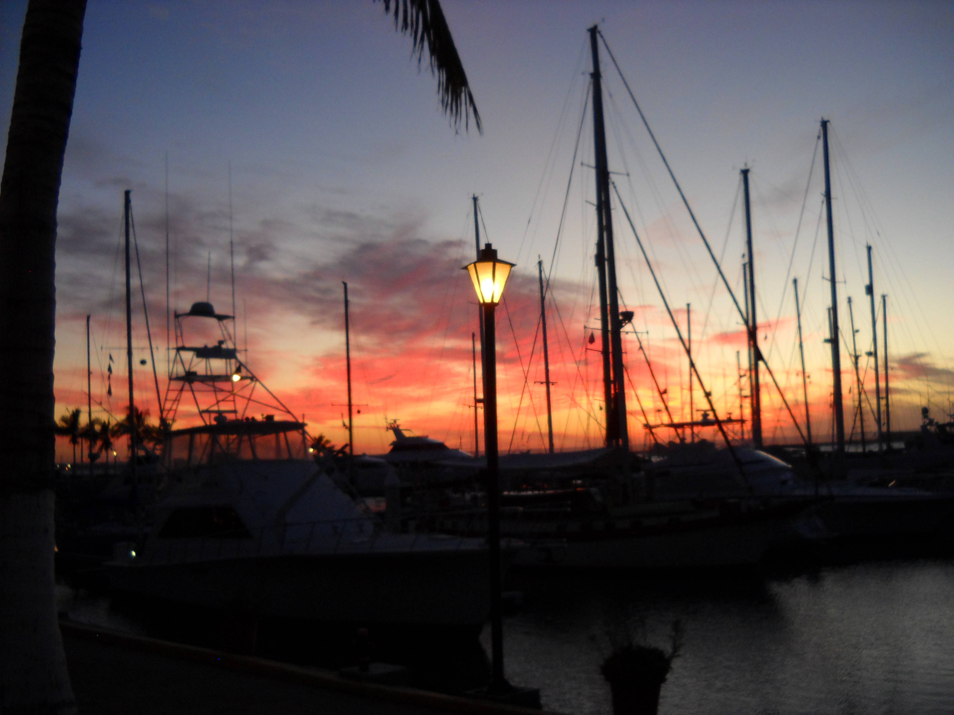 Marina De La Paz Marina sunset — Treasure Island Yacht Club