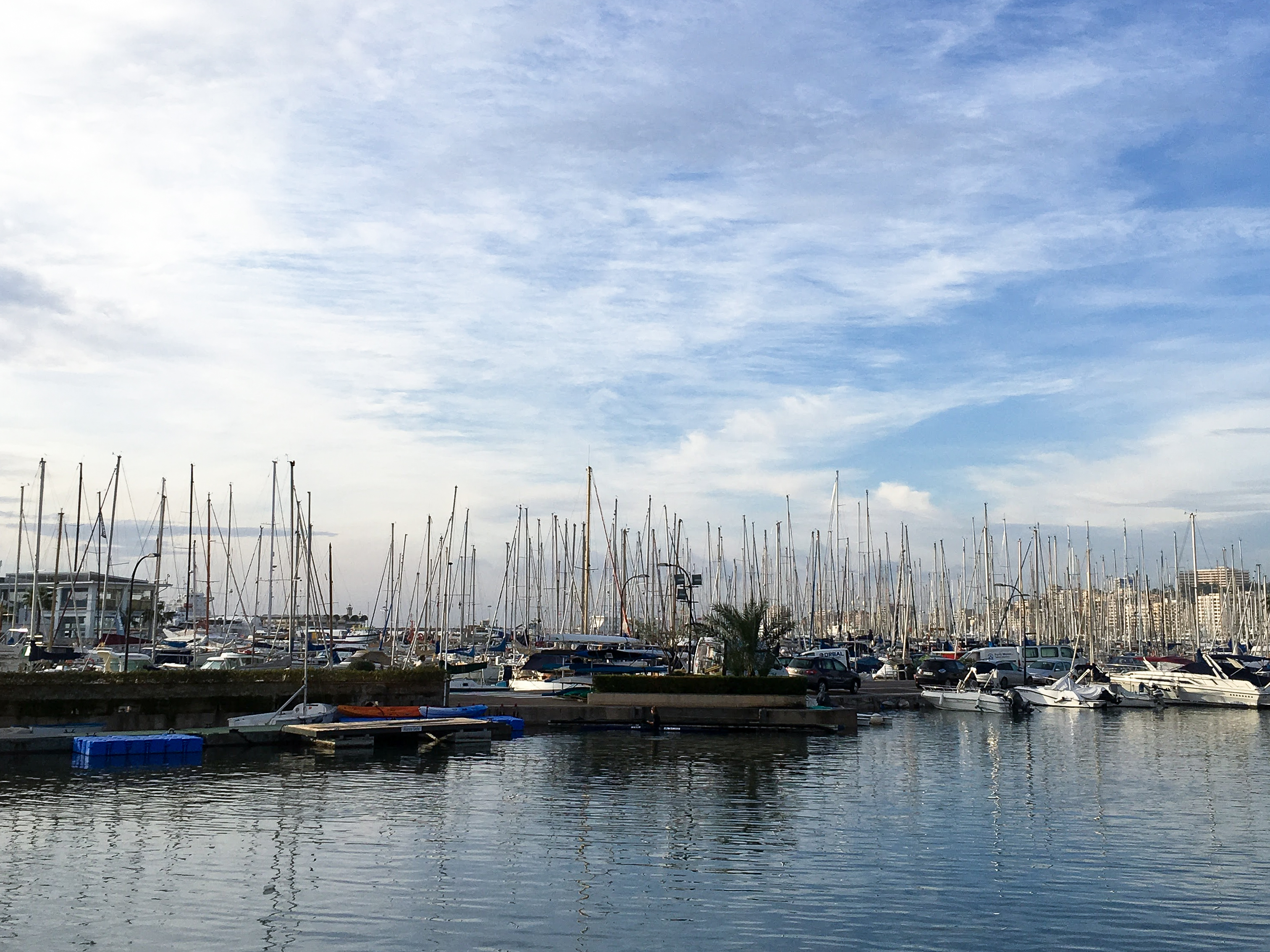 Winter in Mallorca | Boats in the Marina in Palma | No Man Before
