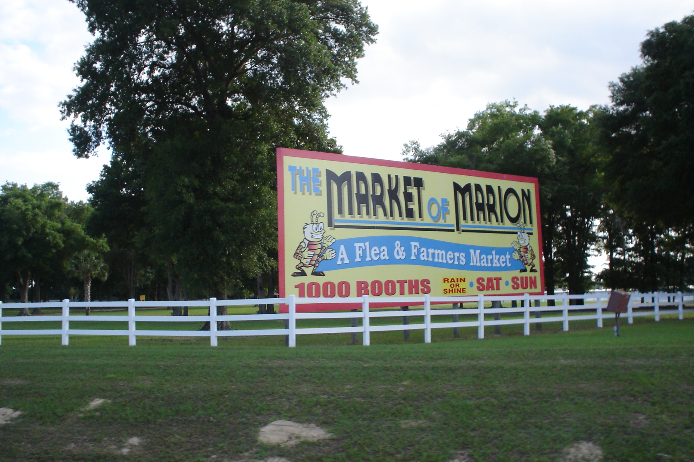 Market of marion photo