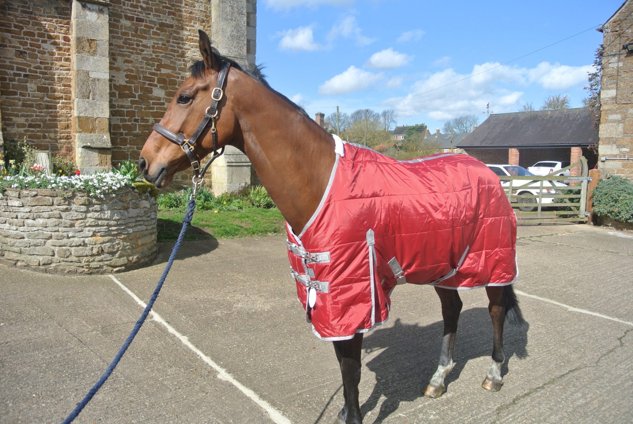 100g Stable Rug 4'9, 7'3 & 7'6 With Tail Flap And Shoulder Gussets