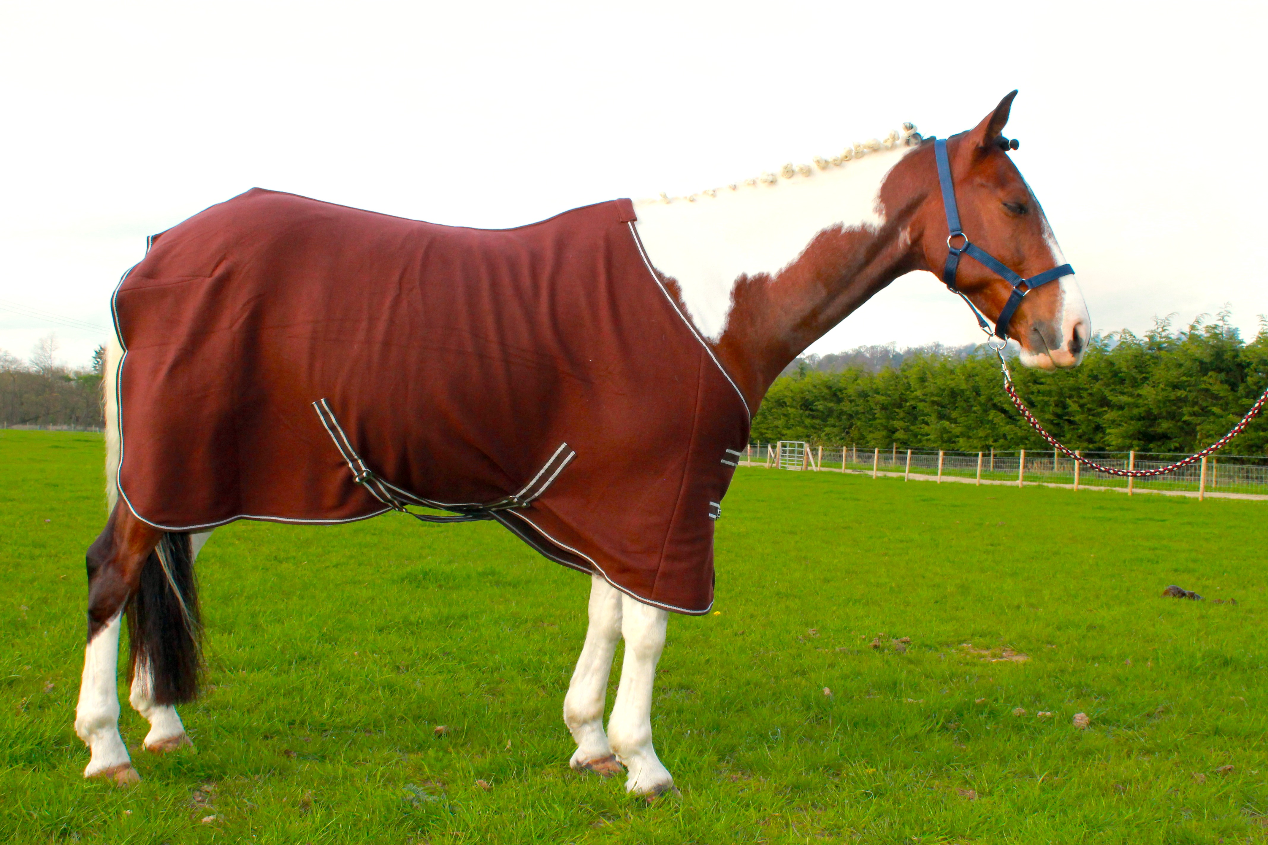 HORSE COB PONY SHOW TRAVEL FLEECE RUG 5'0-7'0″ stable cooler choice ...