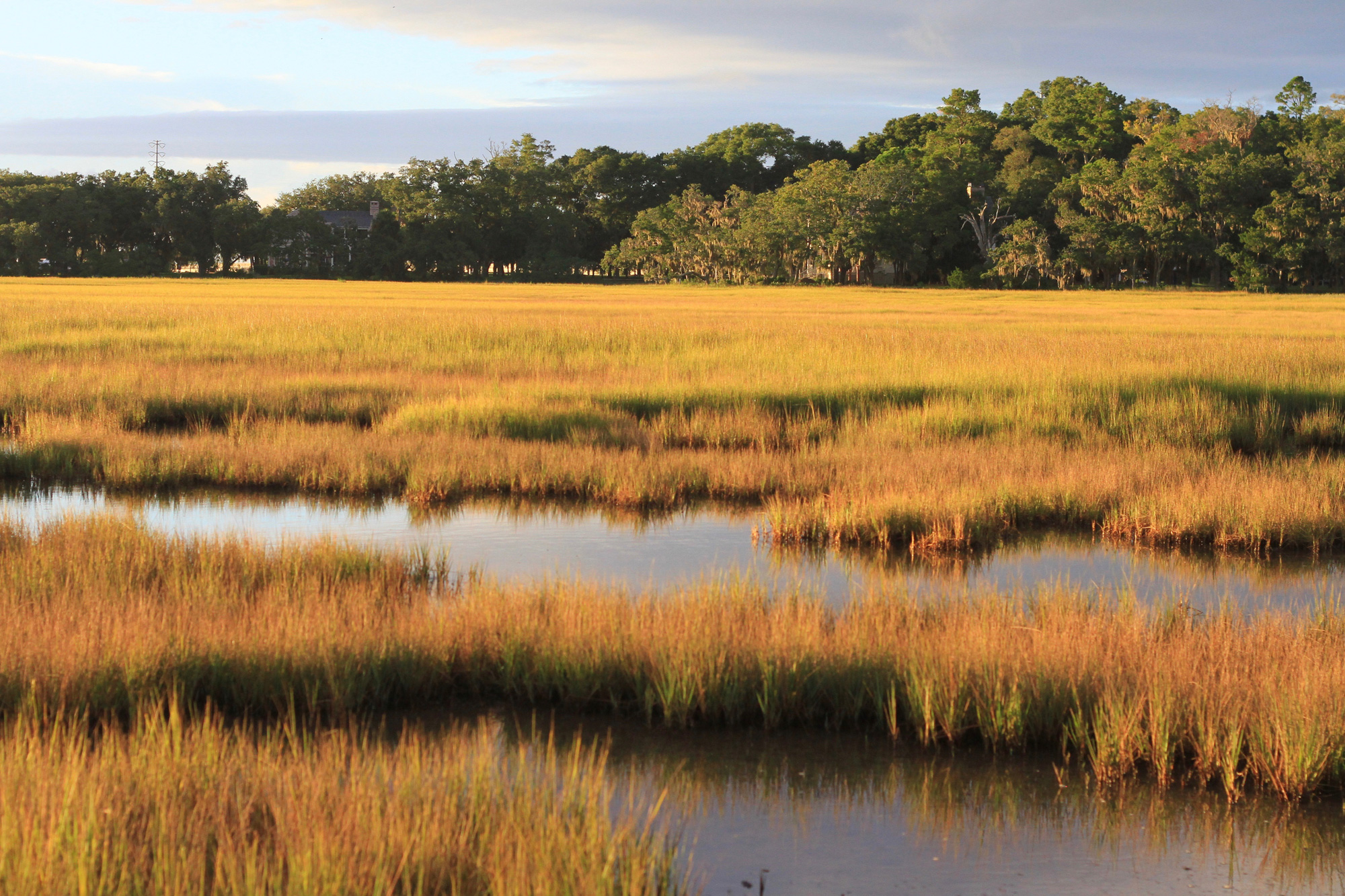 Beyond the Beach: Playing in Georgia's Salt Marshes