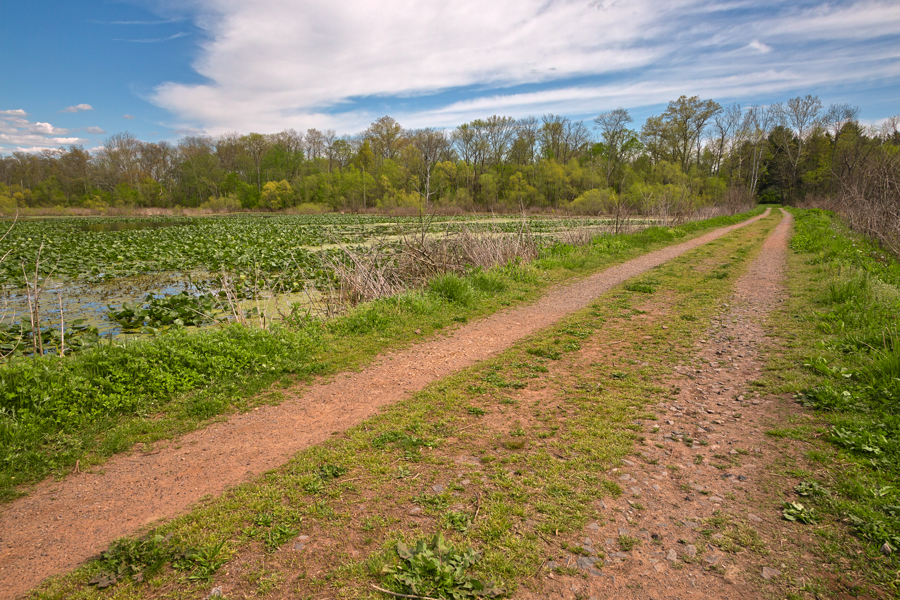 Mckee-beshers trail - hdr photo