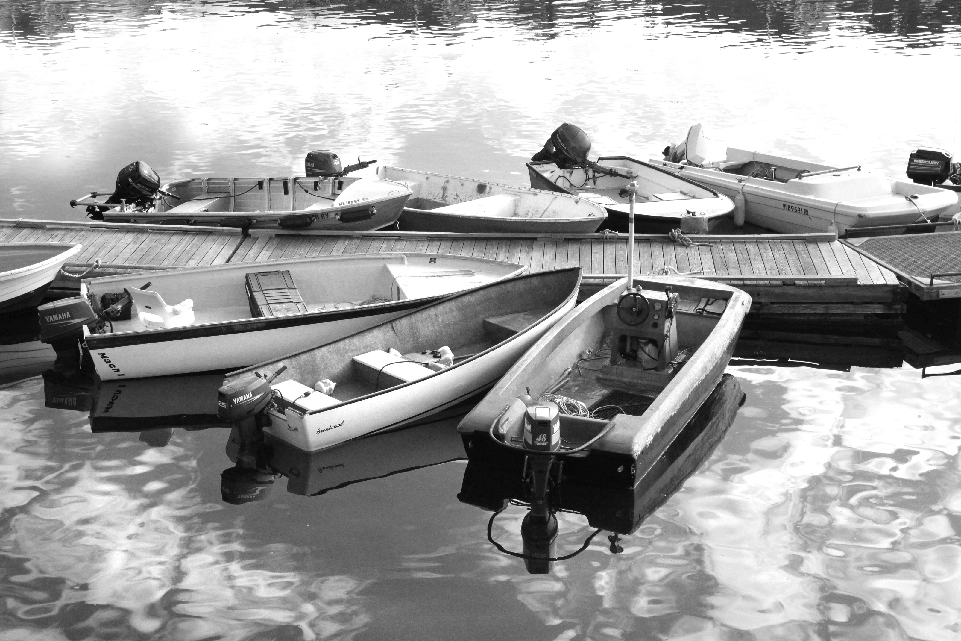 Me - stonington harbor - 06 photo