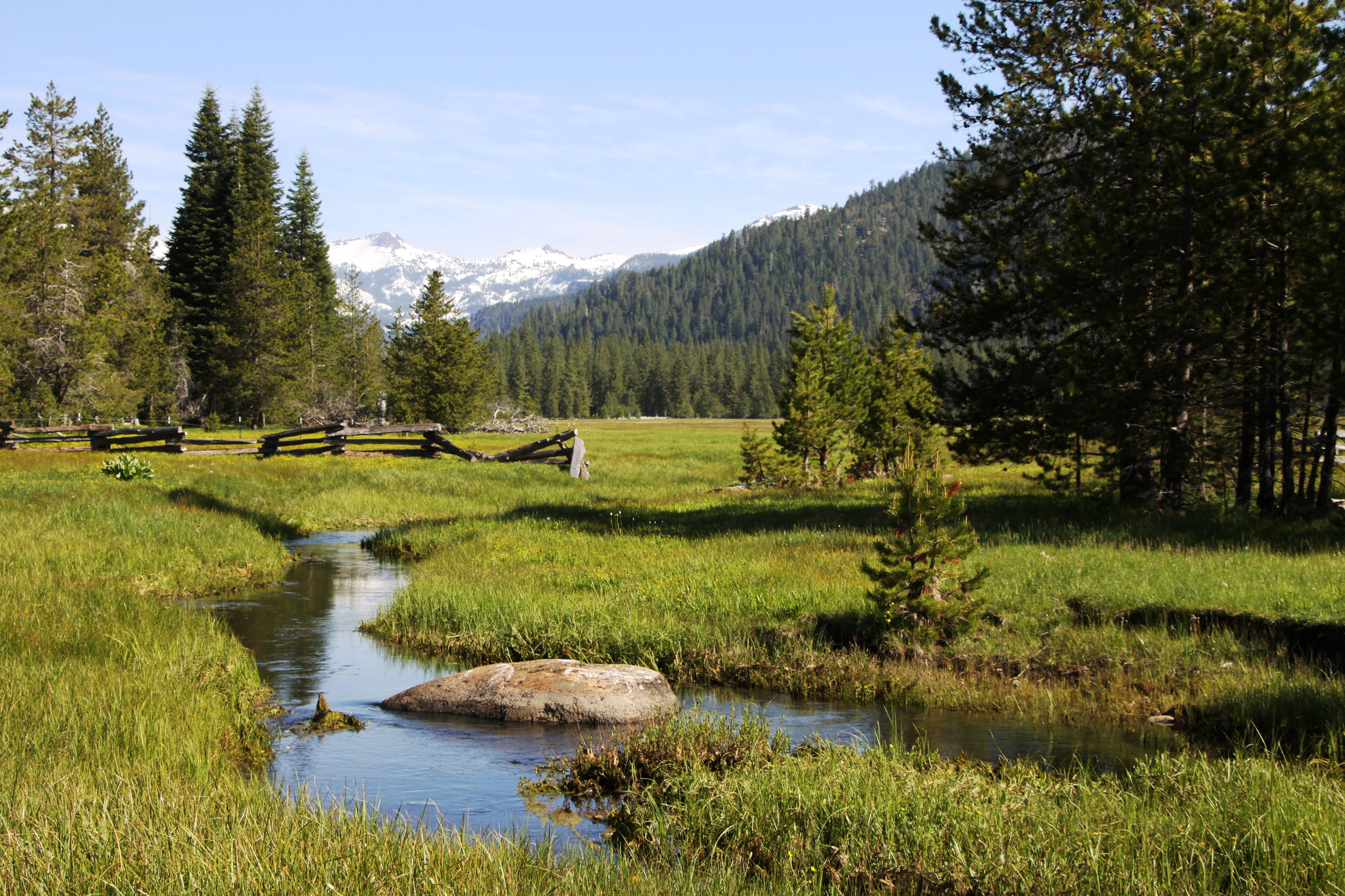 Can Restored Meadows Fight Climate Change? California Seeks to Find ...