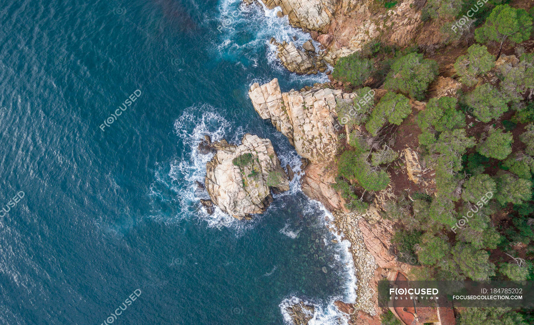 Aerial views of coastal cliffs with trees in Mediterranean — Stock ...