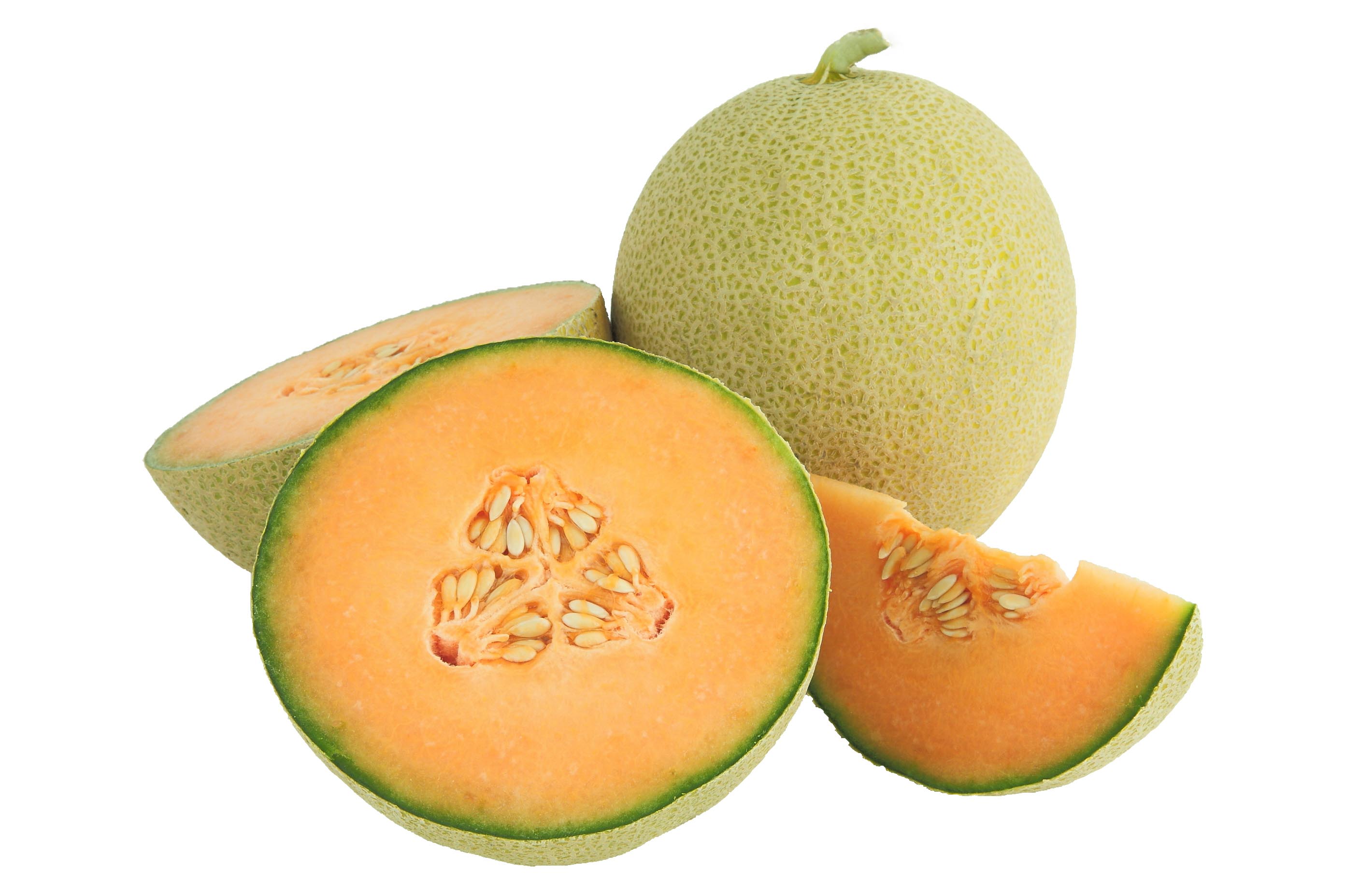 Caribbean Gold RZ F1 Hybrid Melon - Allied Botanical Corporation