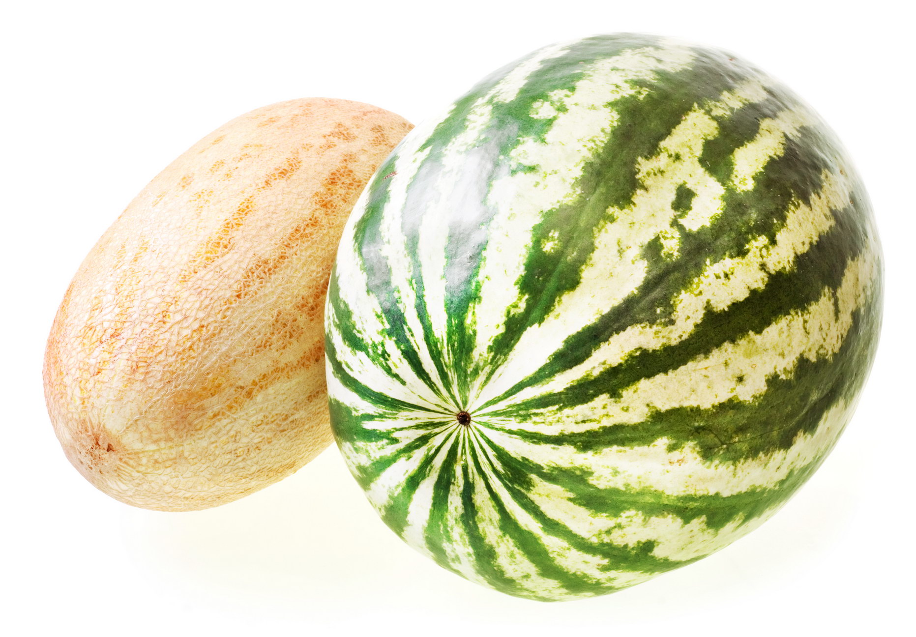 Melon and watermelon photo