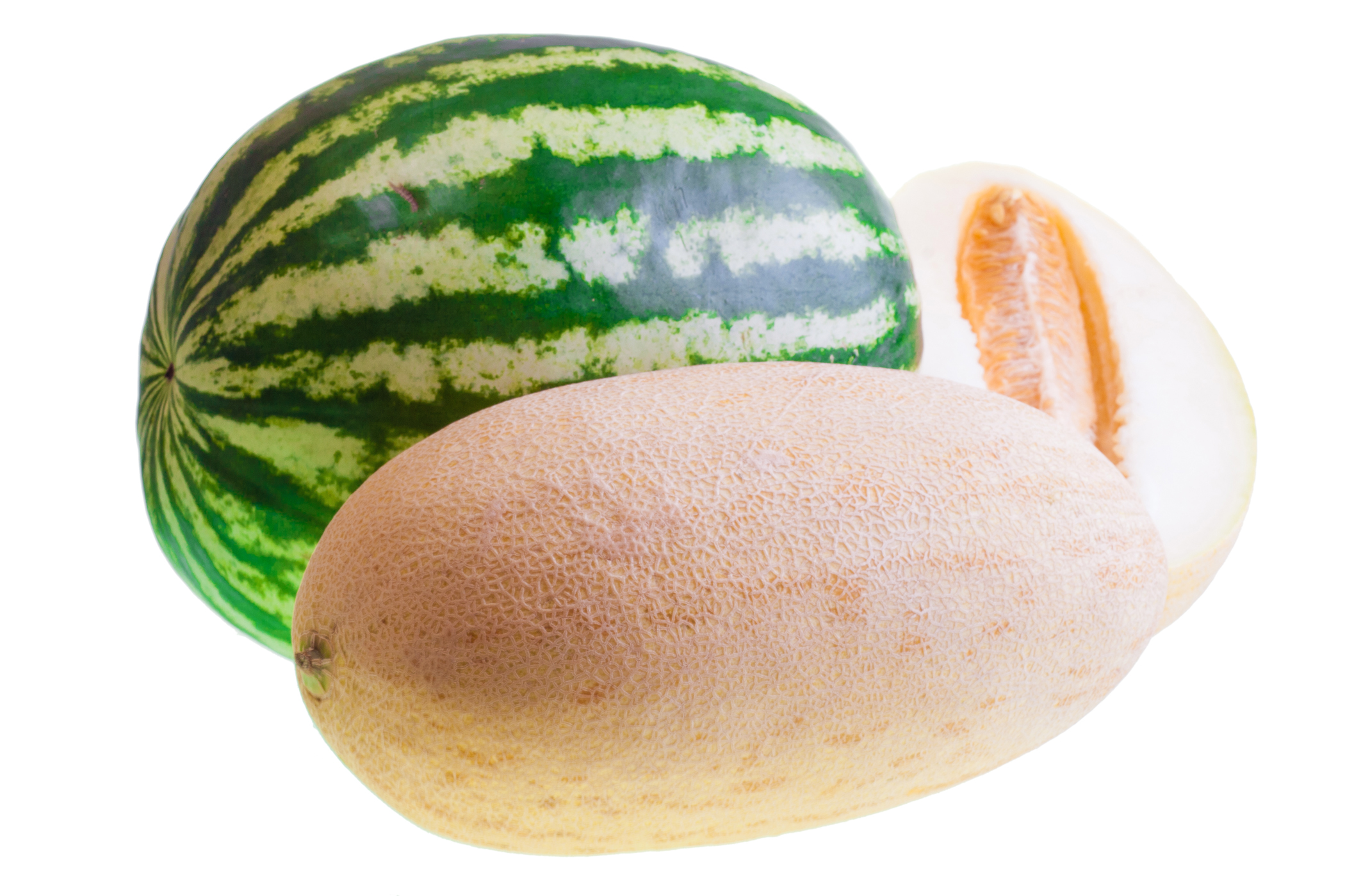 Melon and watermelon photo