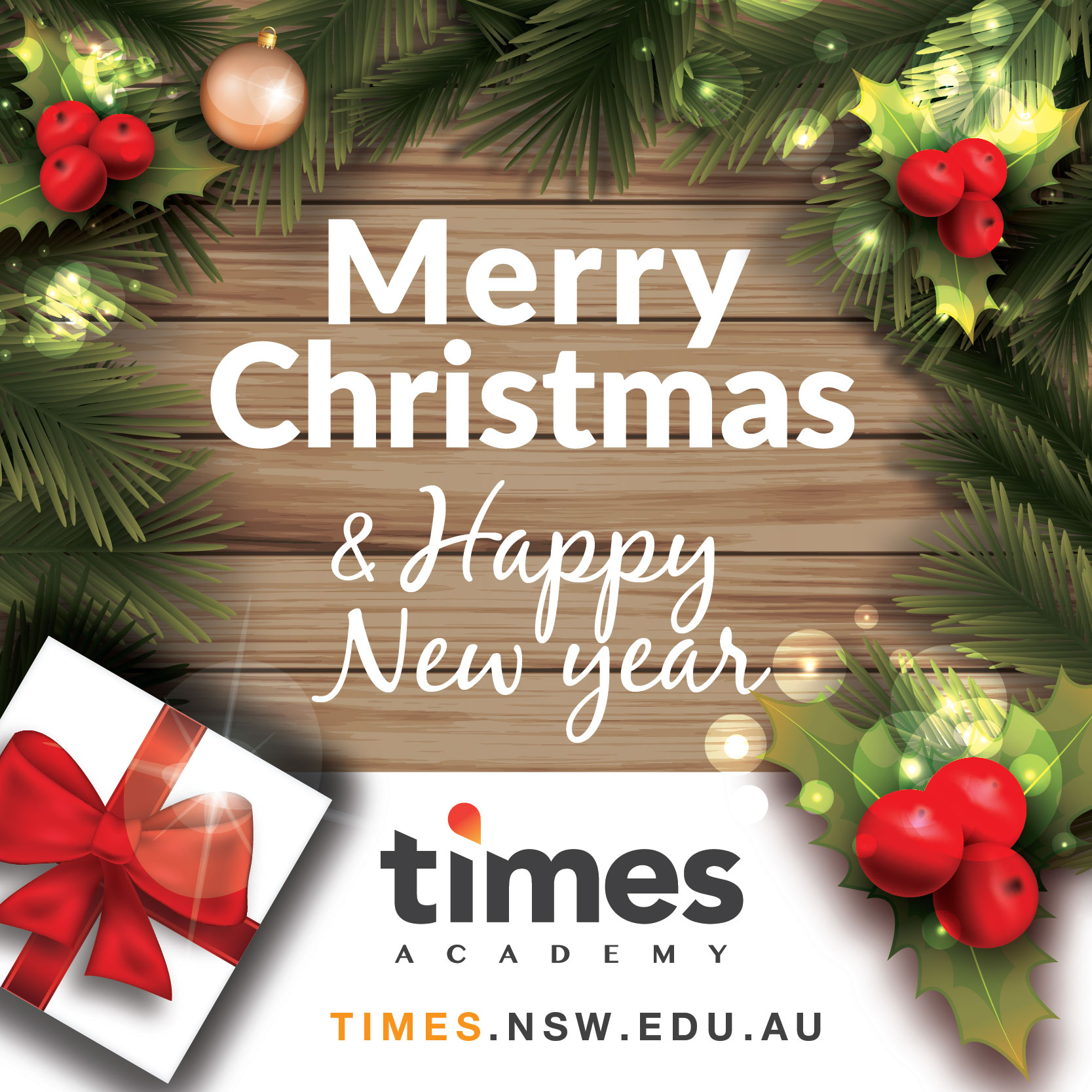 Times Academy wishes you a Merry Christmas and Happy New Year ...