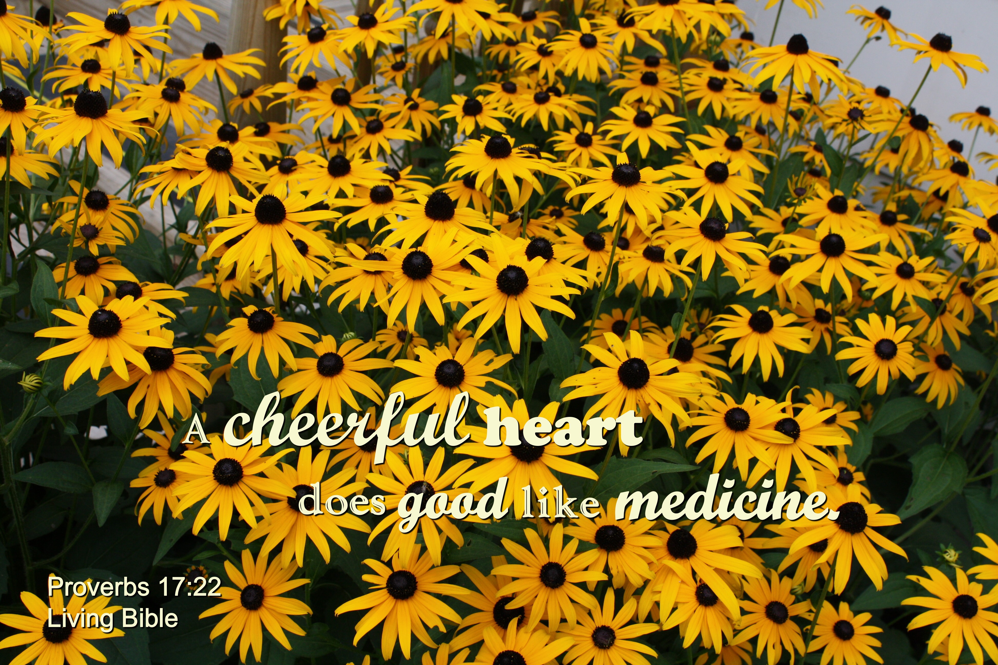 Merry heart like medicine photo