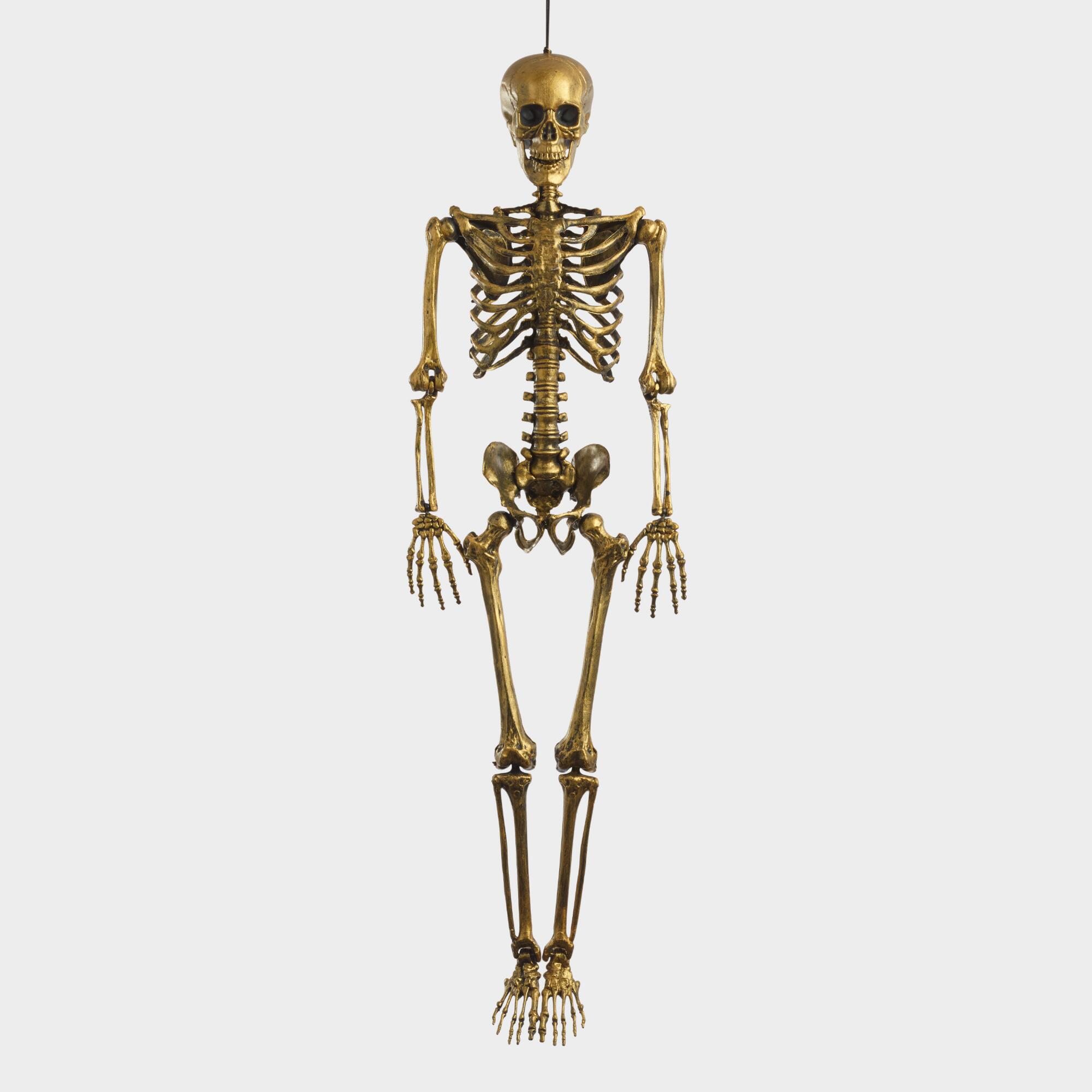 Metallic Gold Hanging Skeleton | World Market