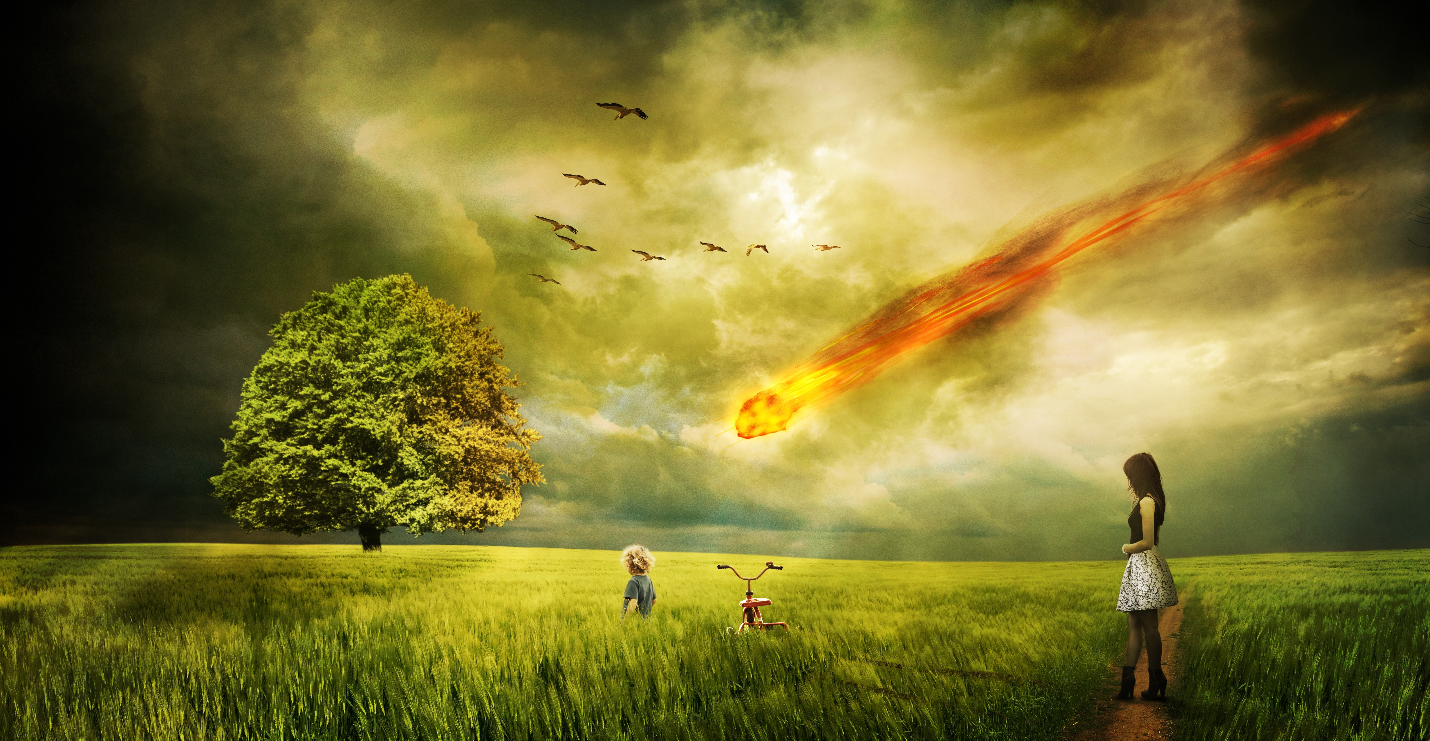 Дерево конца света. Небо рушится на землю. Падение метеорита в поле. Человек метеорит. Конец света.