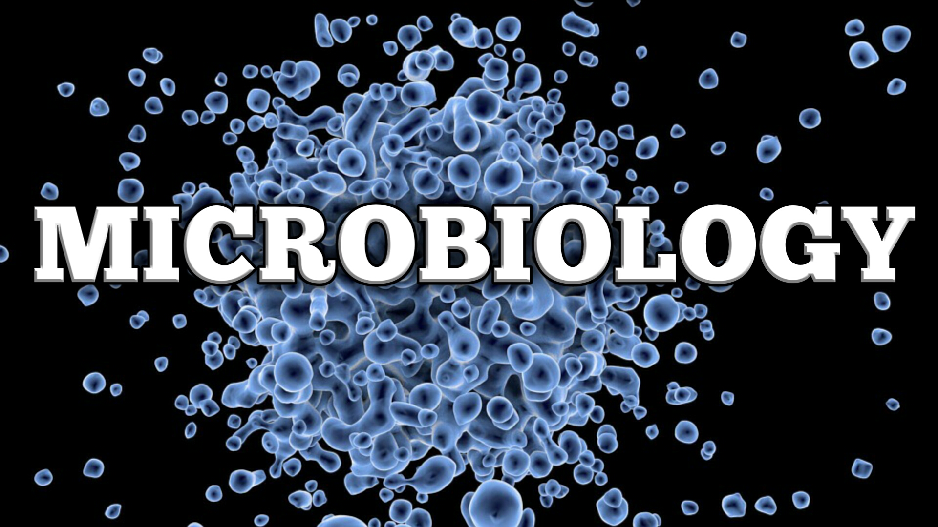 B.Sc MICROBIOLOGY - CAREERS,,DEGREE,Job Opportunities,Salary,M.Sc