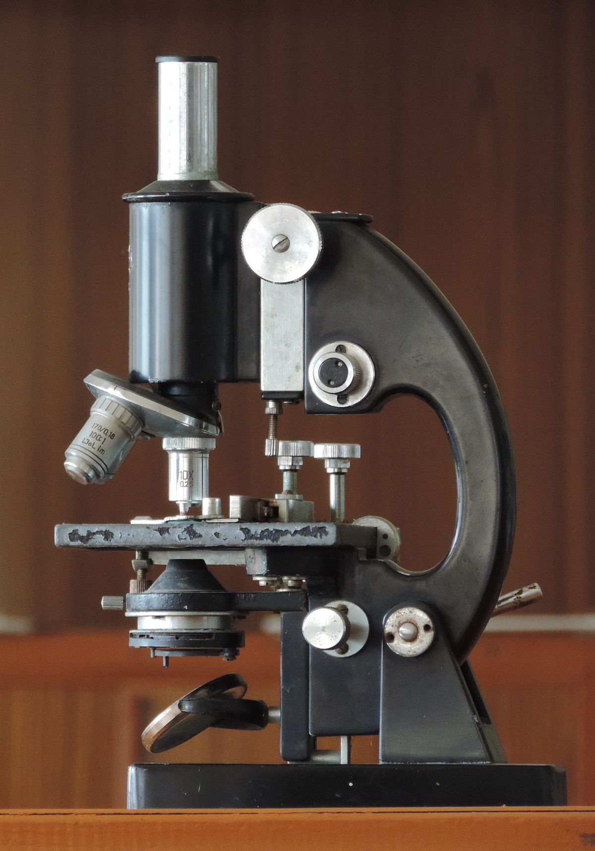 Microscope photo