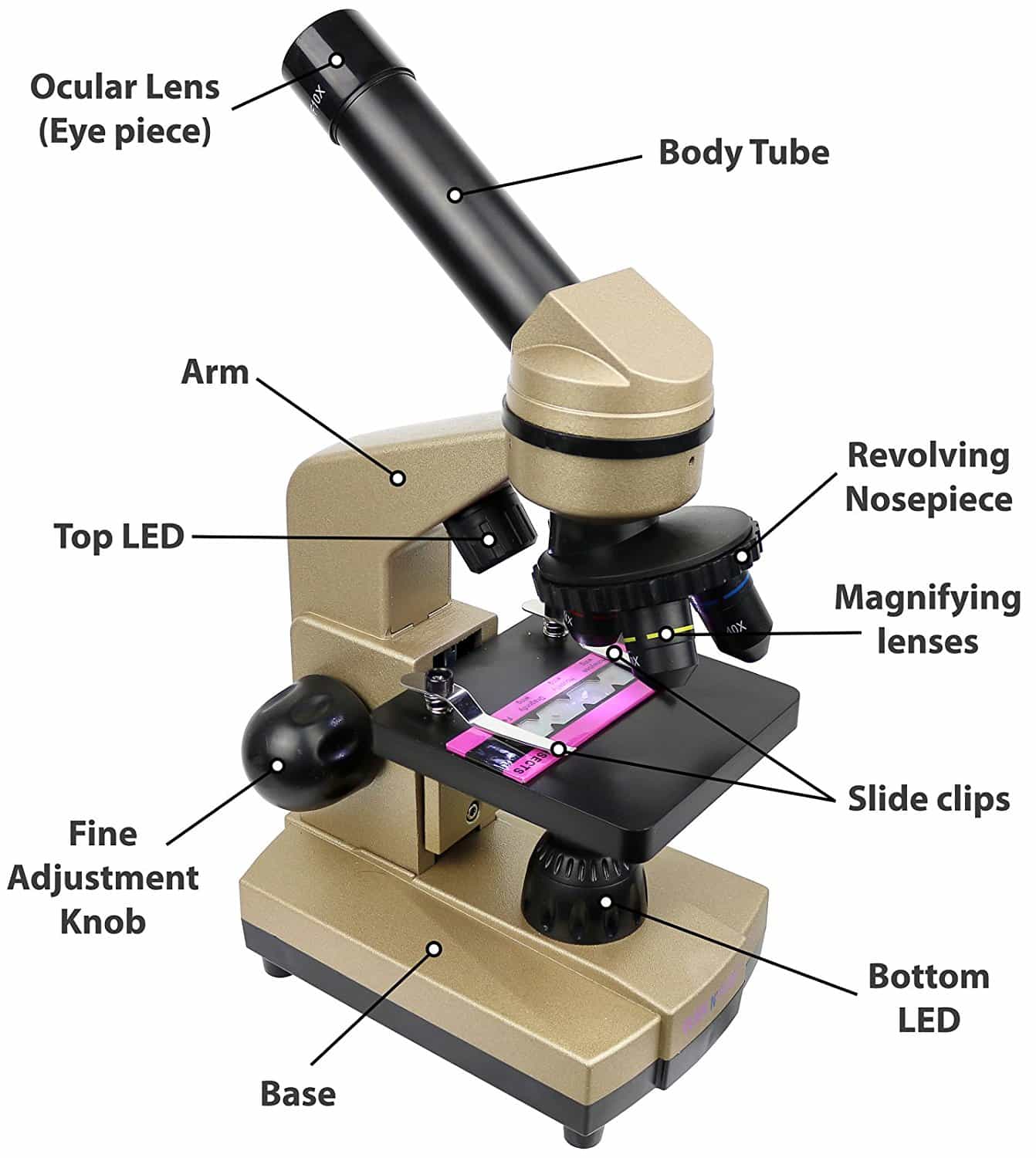 Best Microscopes Reviews - Huge 2018 Comparison Guide