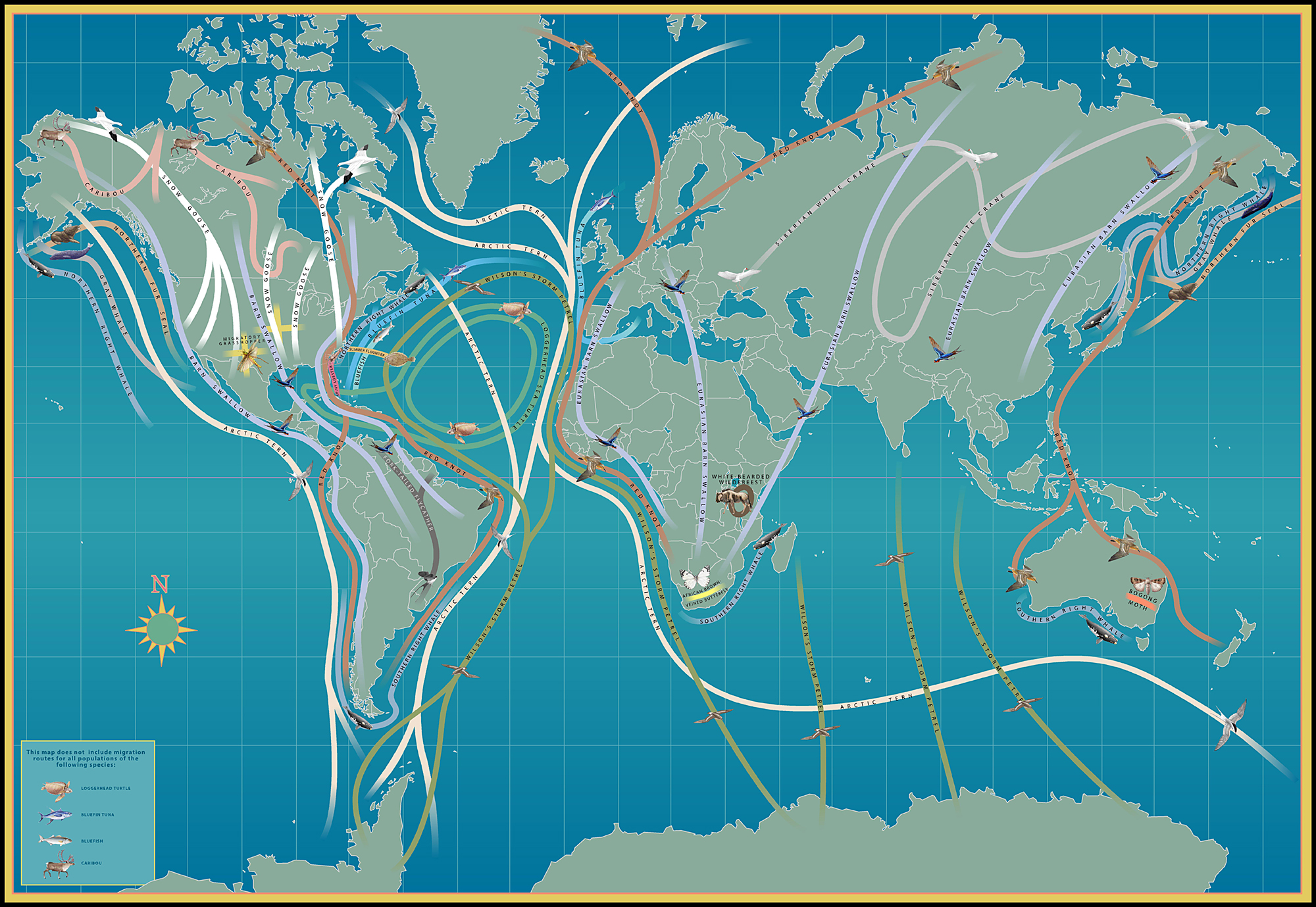 Paul Mirocha Design and Illustration World Migrations Map — Paul ...
