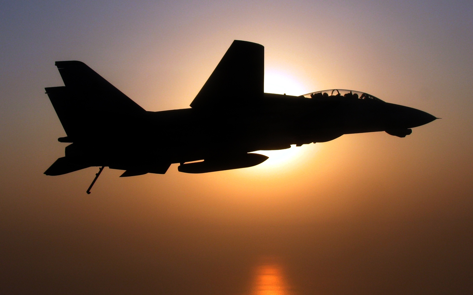 Navy F-14 Tomcat Silhouette | Fighter Aircraft | Pinterest ...