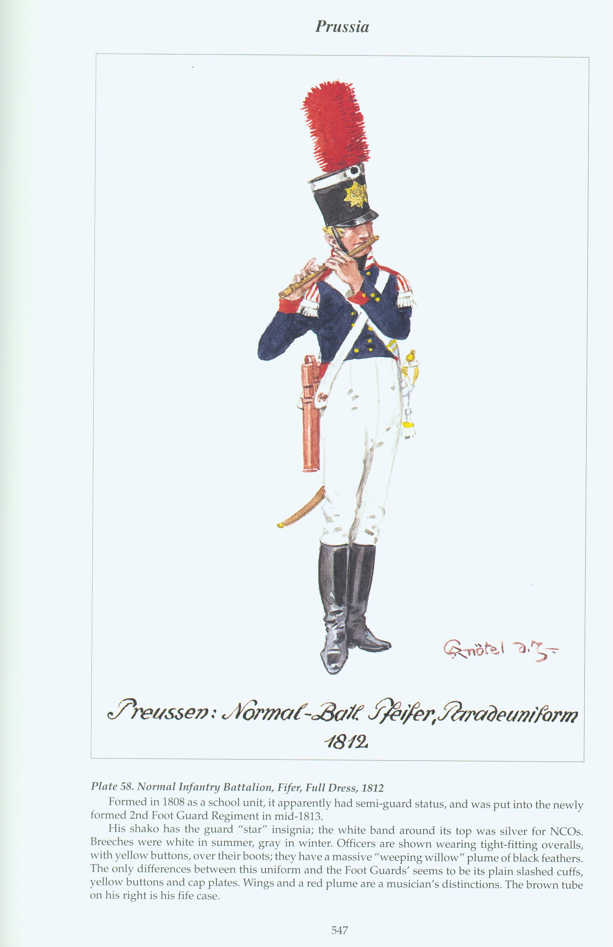 Prussia: Plate 58. Normal Infantry Battalion, Fifer, Full Dress ...