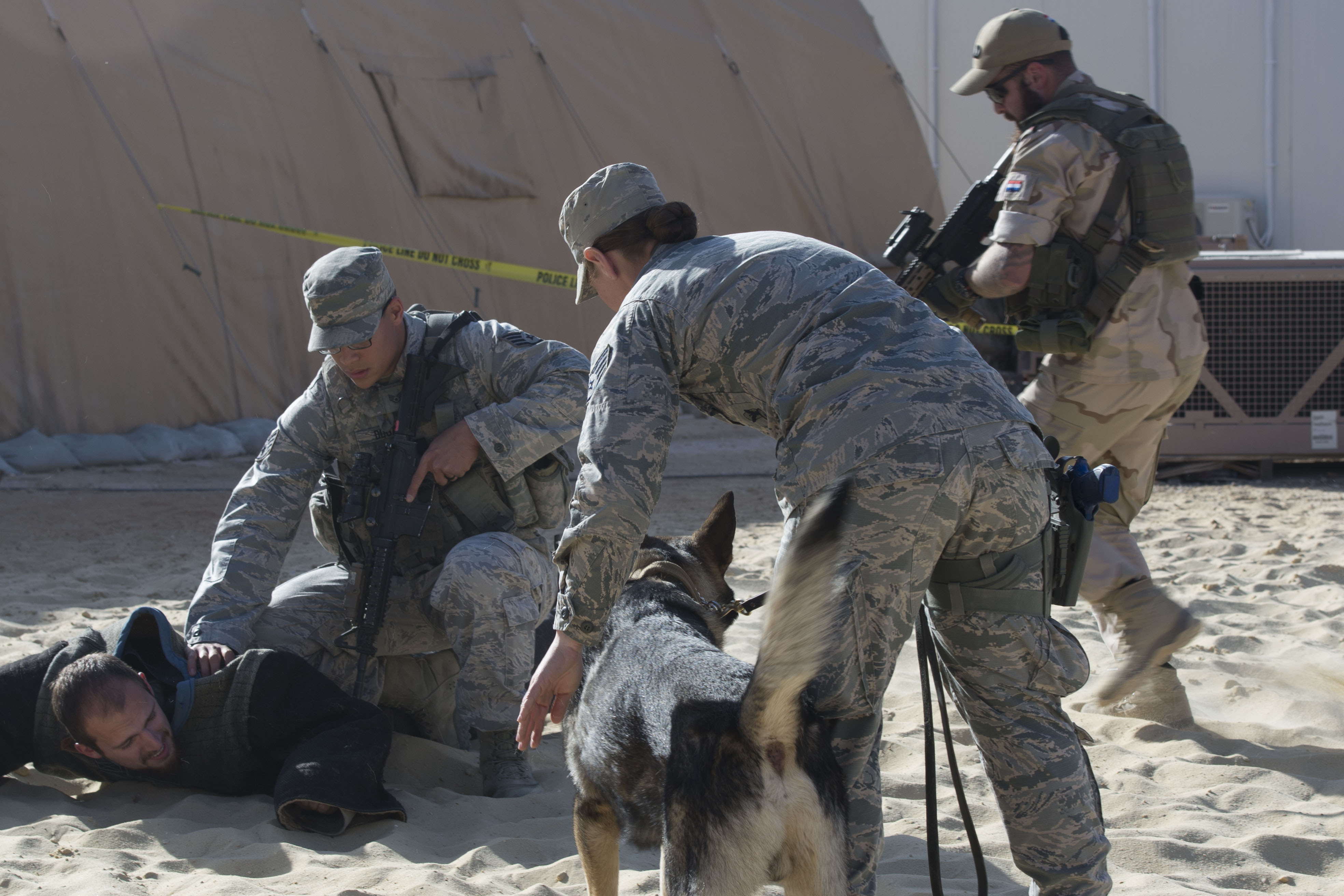 Deployed military working dogs show-off skills > U.S. Air Forces ...