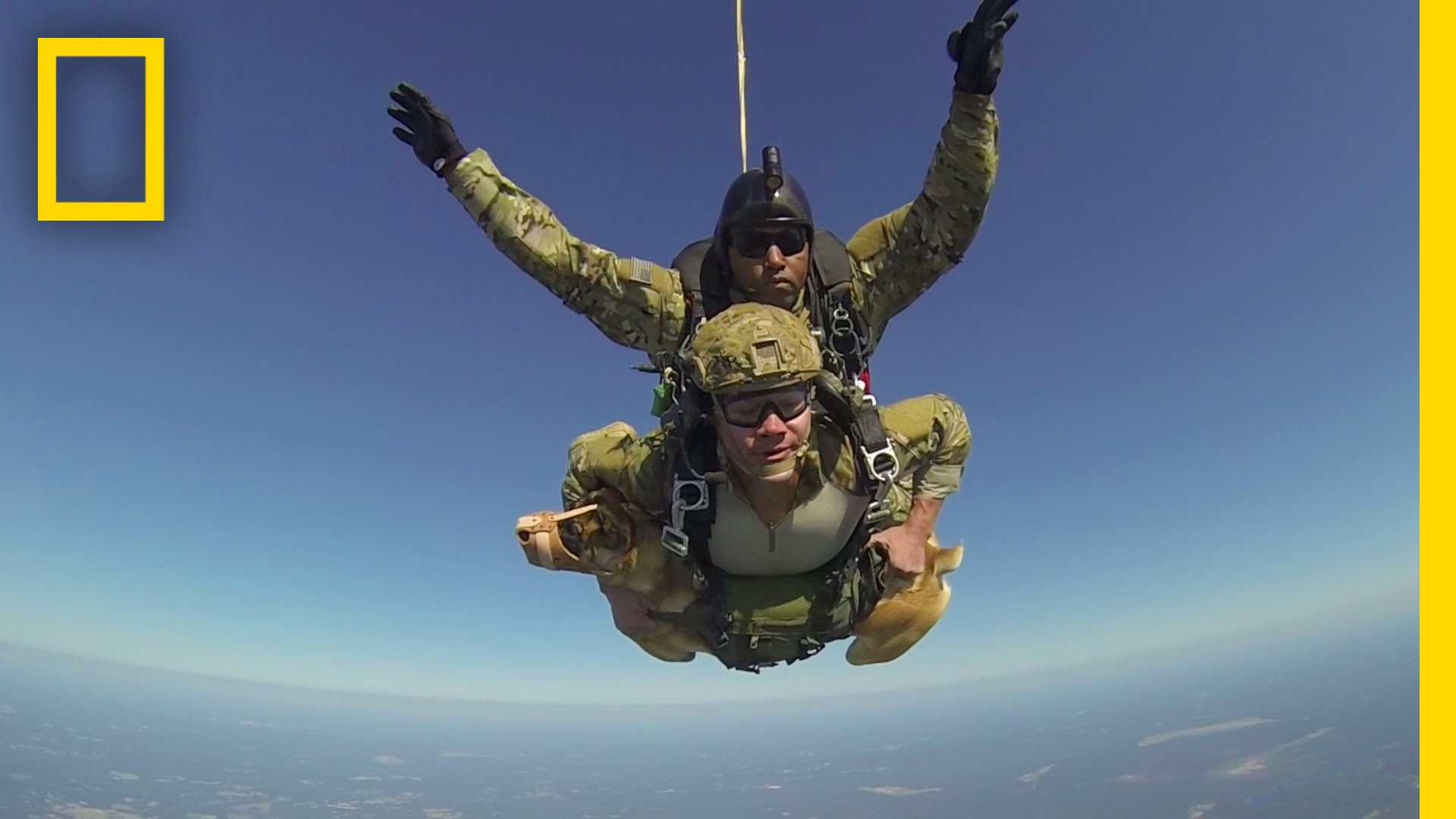 Hero War Dog Skydives with Soldier | National Geographic - YouTube