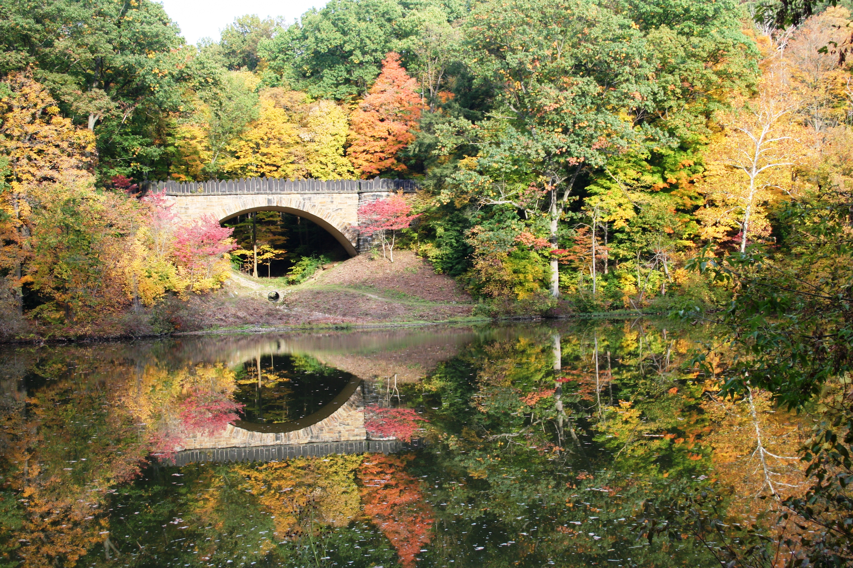 Reflections of Fall – Mill Creek Park, Youngstown, OH | Pasta ...
