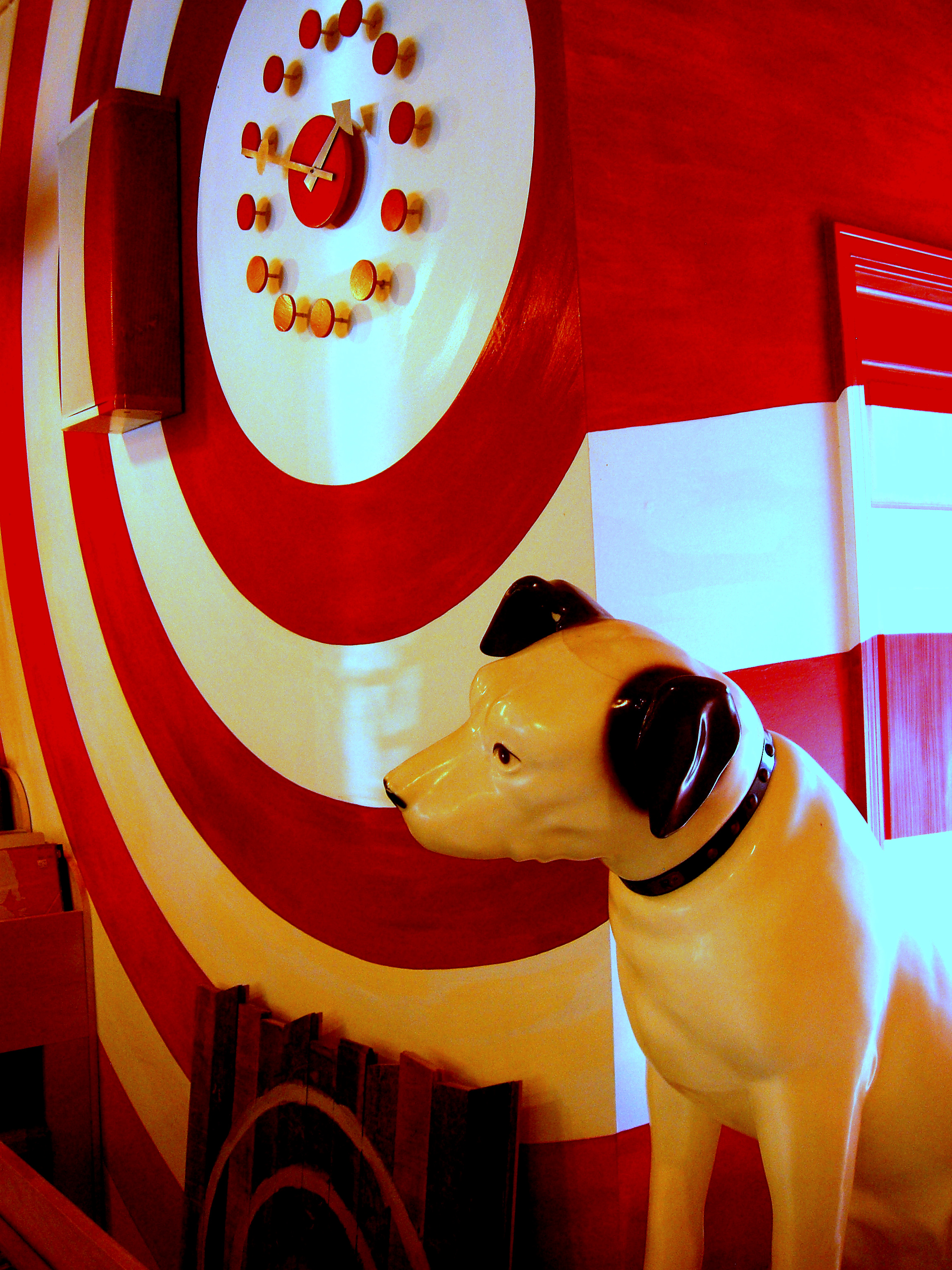 Milwaukee, Bullseye, Clock, Curious, Dog, HQ Photo