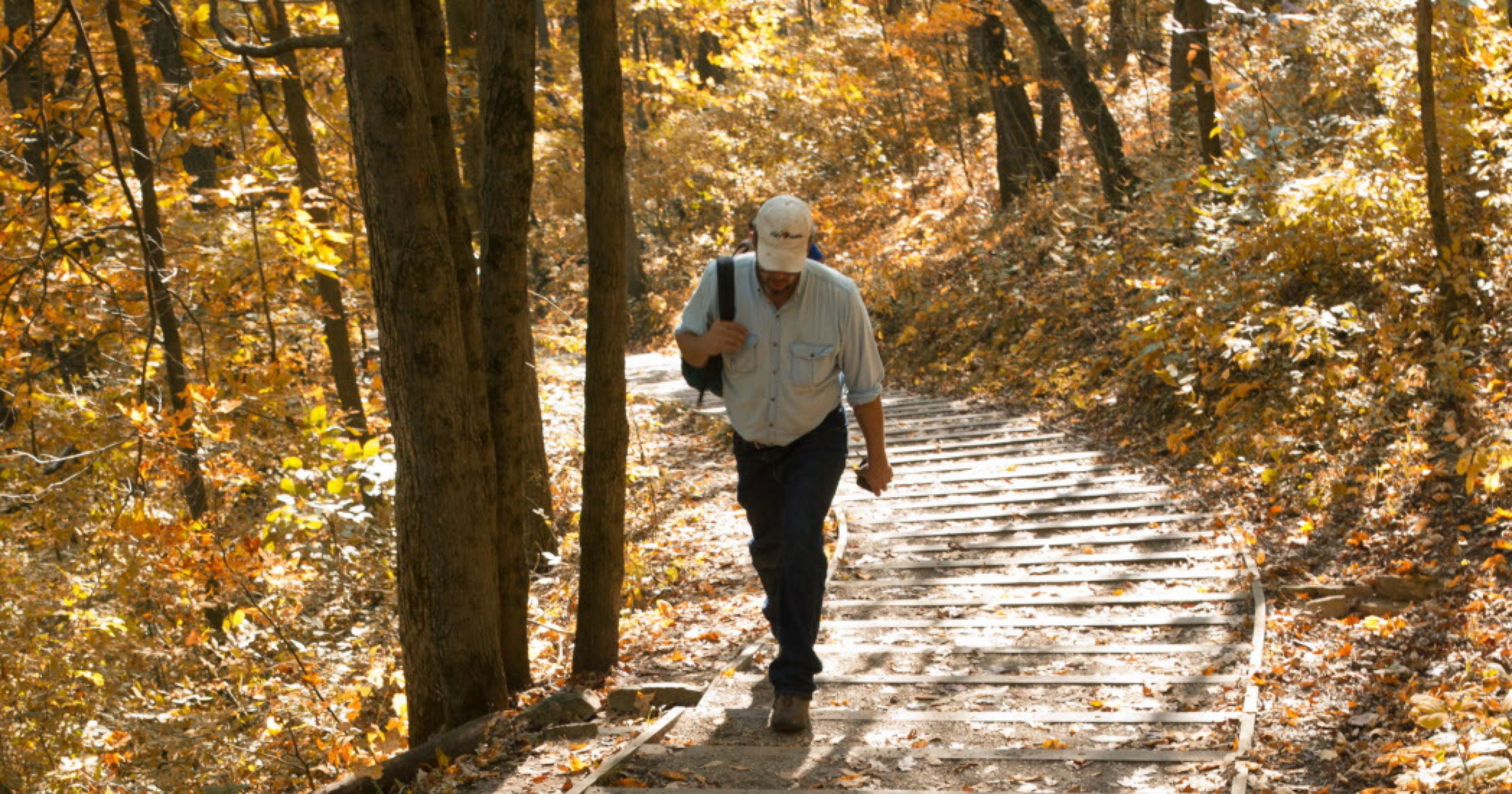 6 fall hikes within 60 miles of Milwaukee