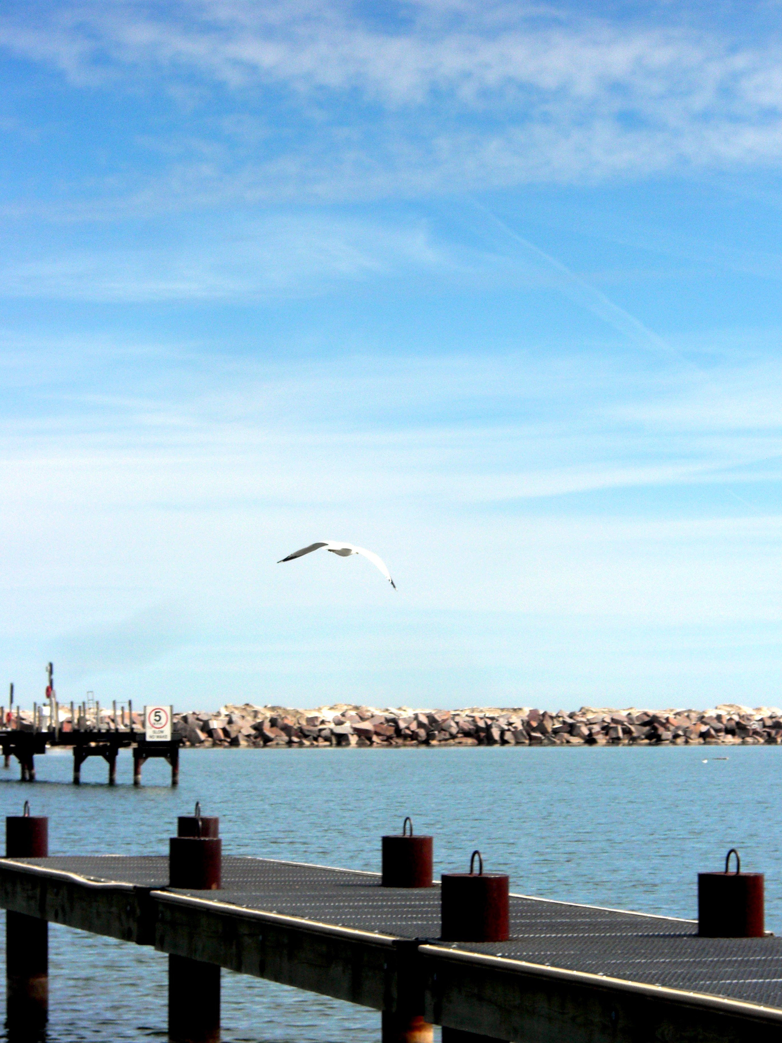 Milwaukee shoreline photo