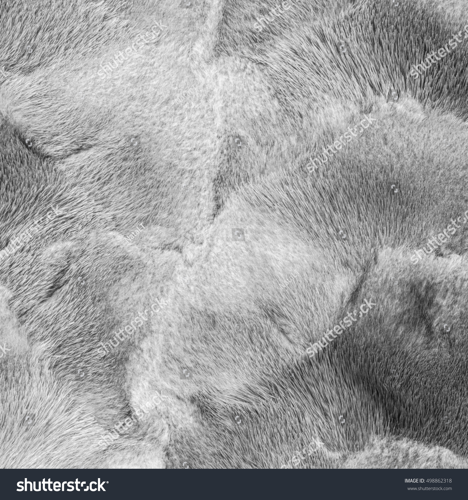 Natural Light Gray Mink Fur Texture Stock Photo 498862318 - Shutterstock