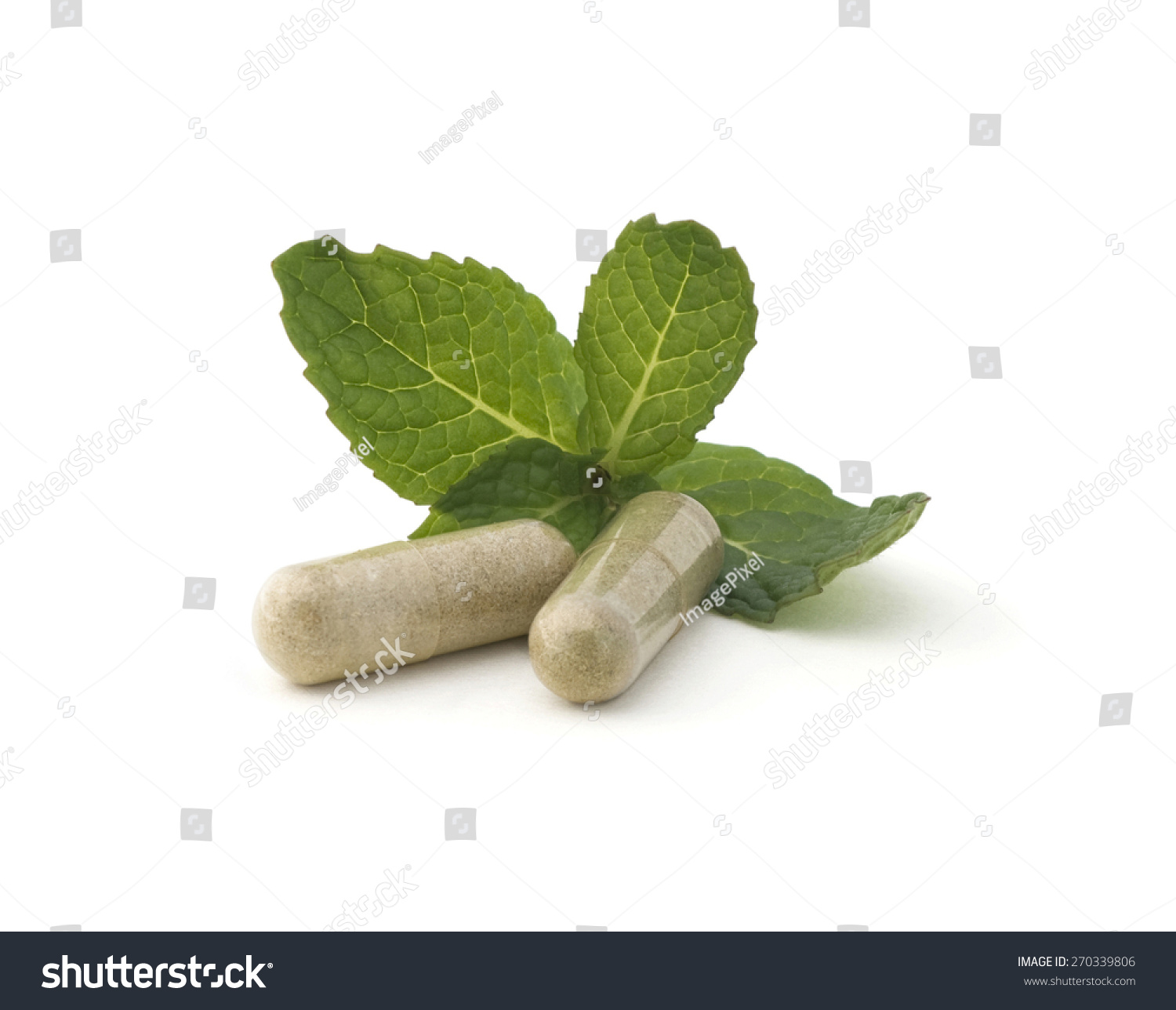 Alternative Medicine Organic Pills On Mint Stock Photo (Royalty Free ...