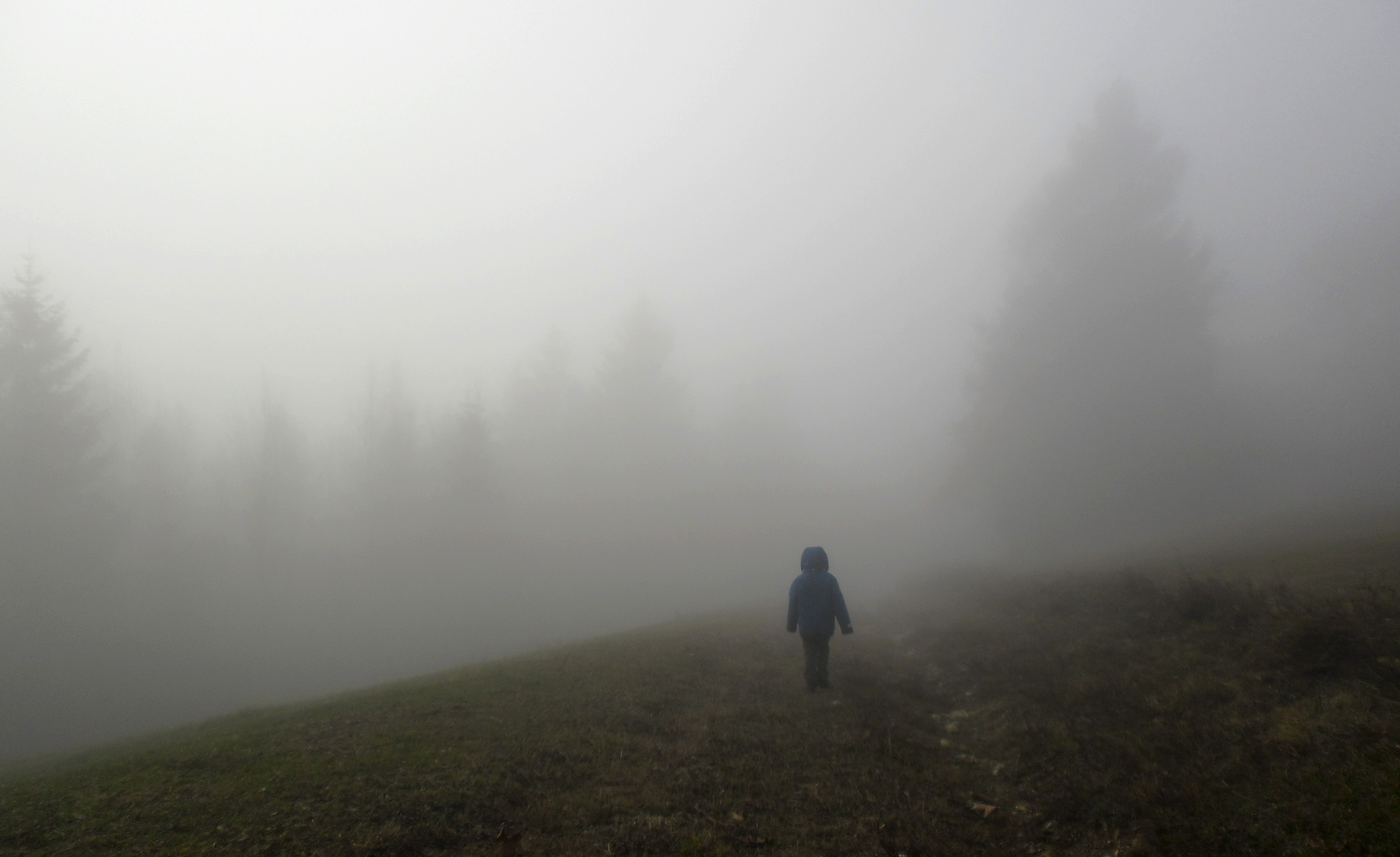 D walking into the mist | Field Notes From Fatherhood