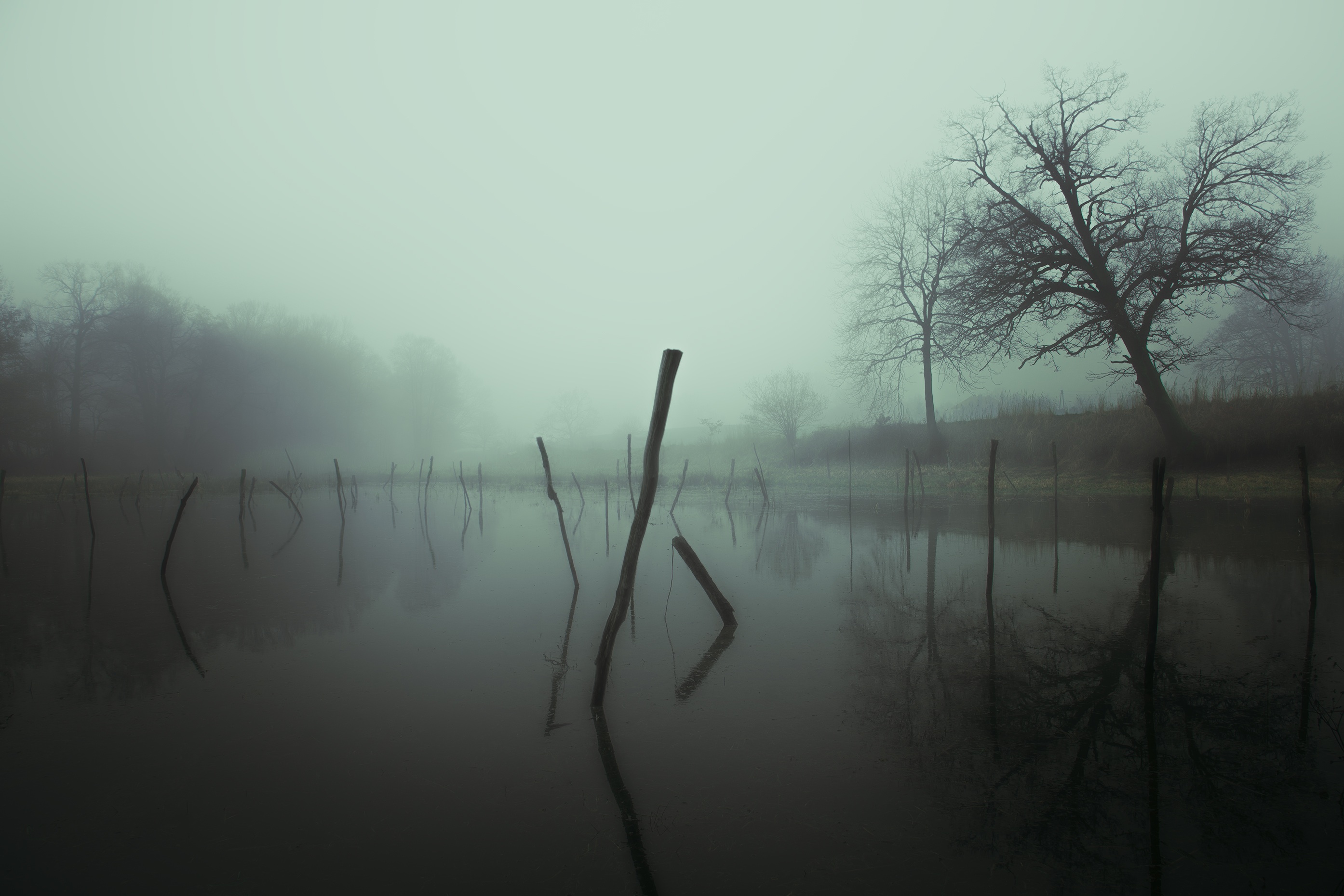 Mist, Fog, Lake, River, Sea, HQ Photo